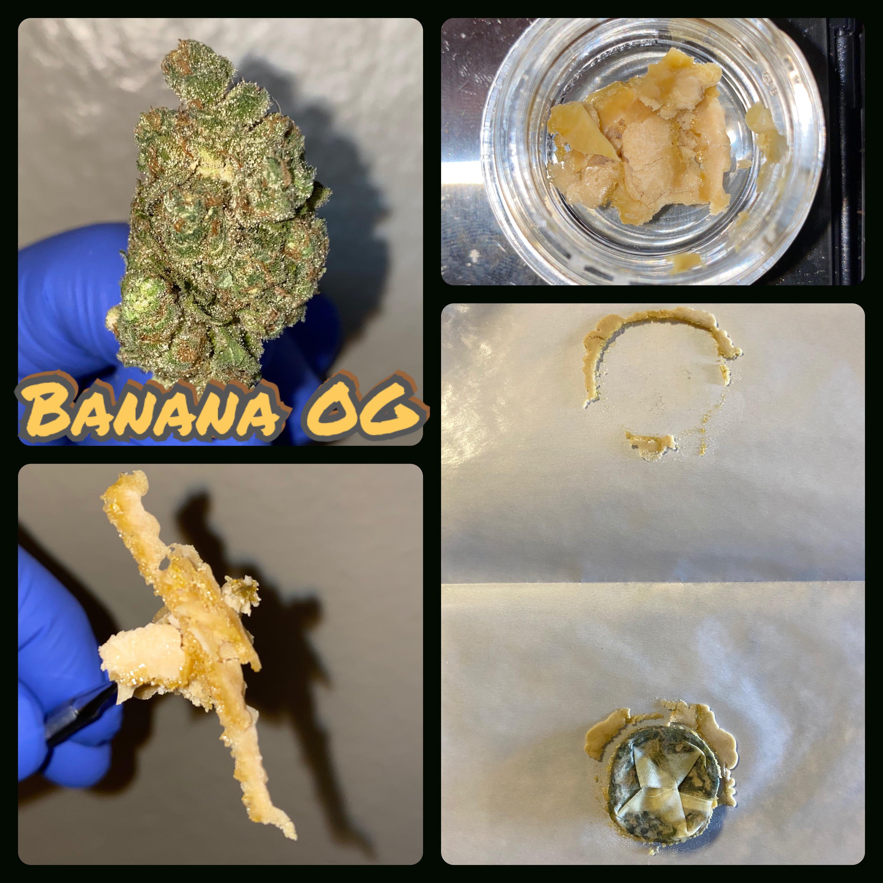 748 best Banana Og images on Pholder Microgrowery, FL Medical Trees and Cannabis Extracts