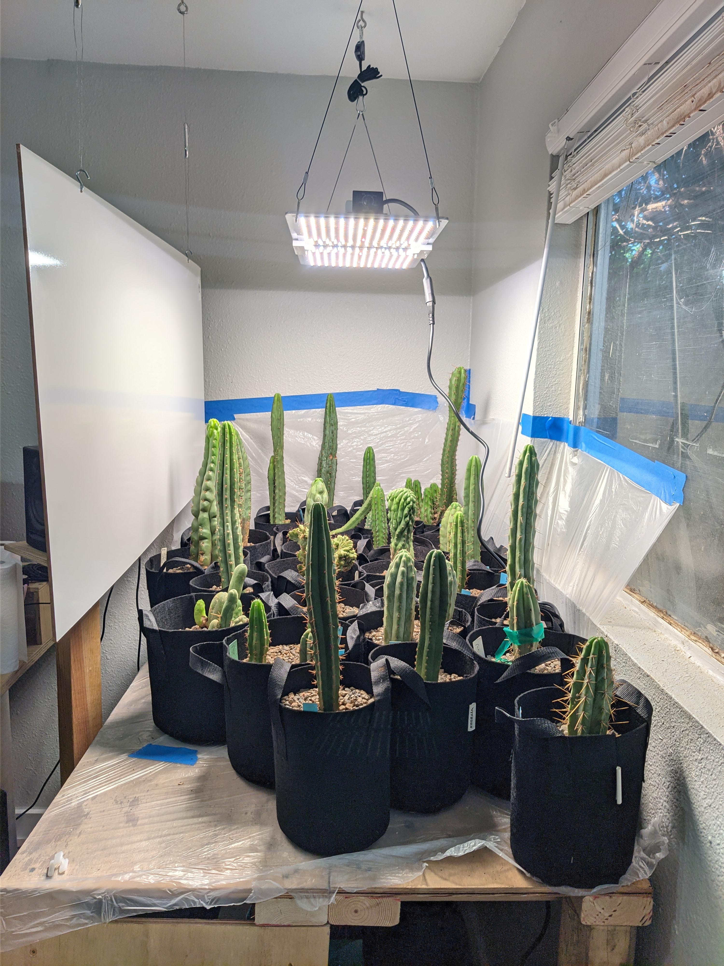 Looking for guidance from anyone using led grow lights. Just got this