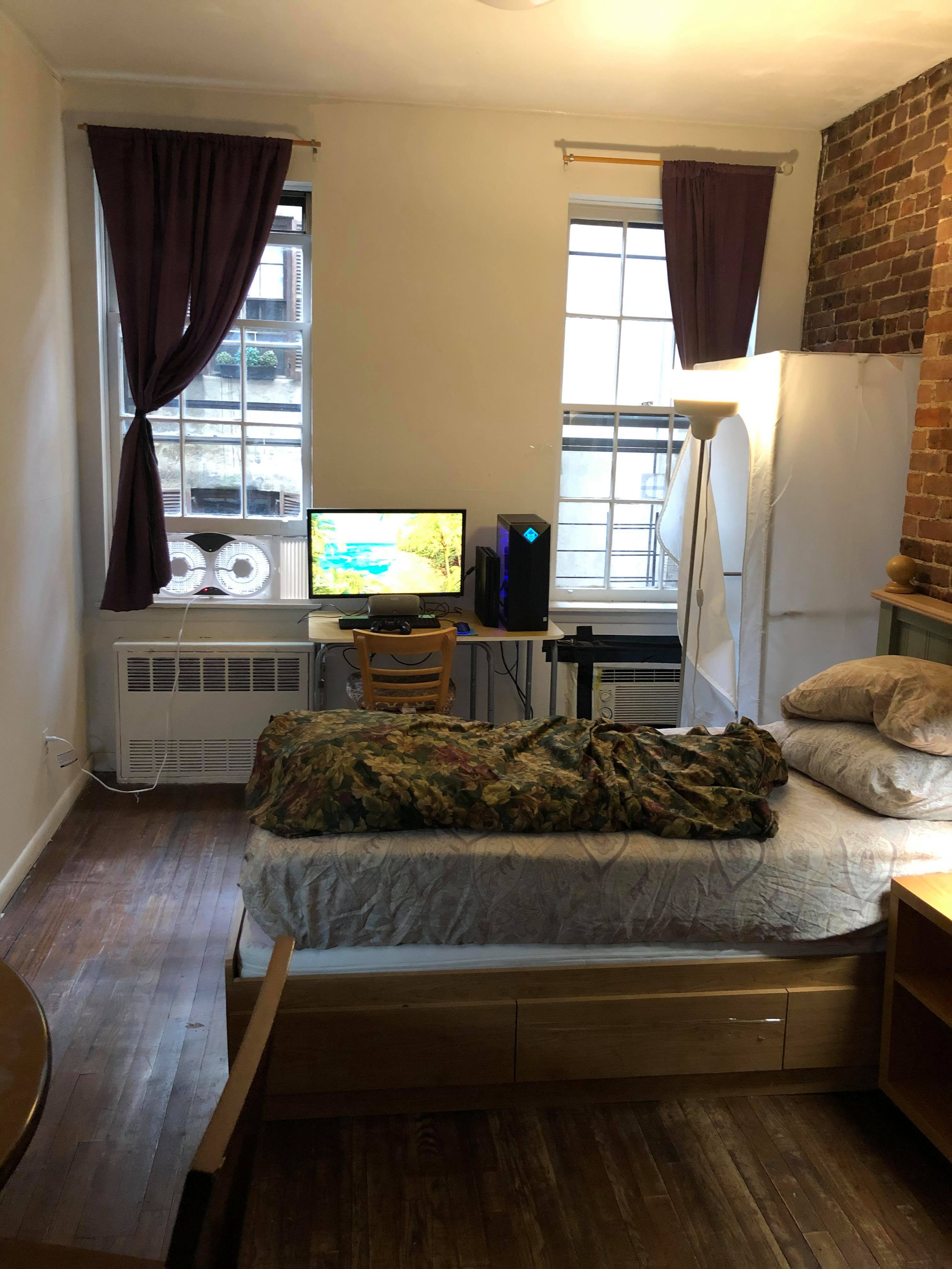 Bedroom in my small NYC apartment r/CozyPlaces