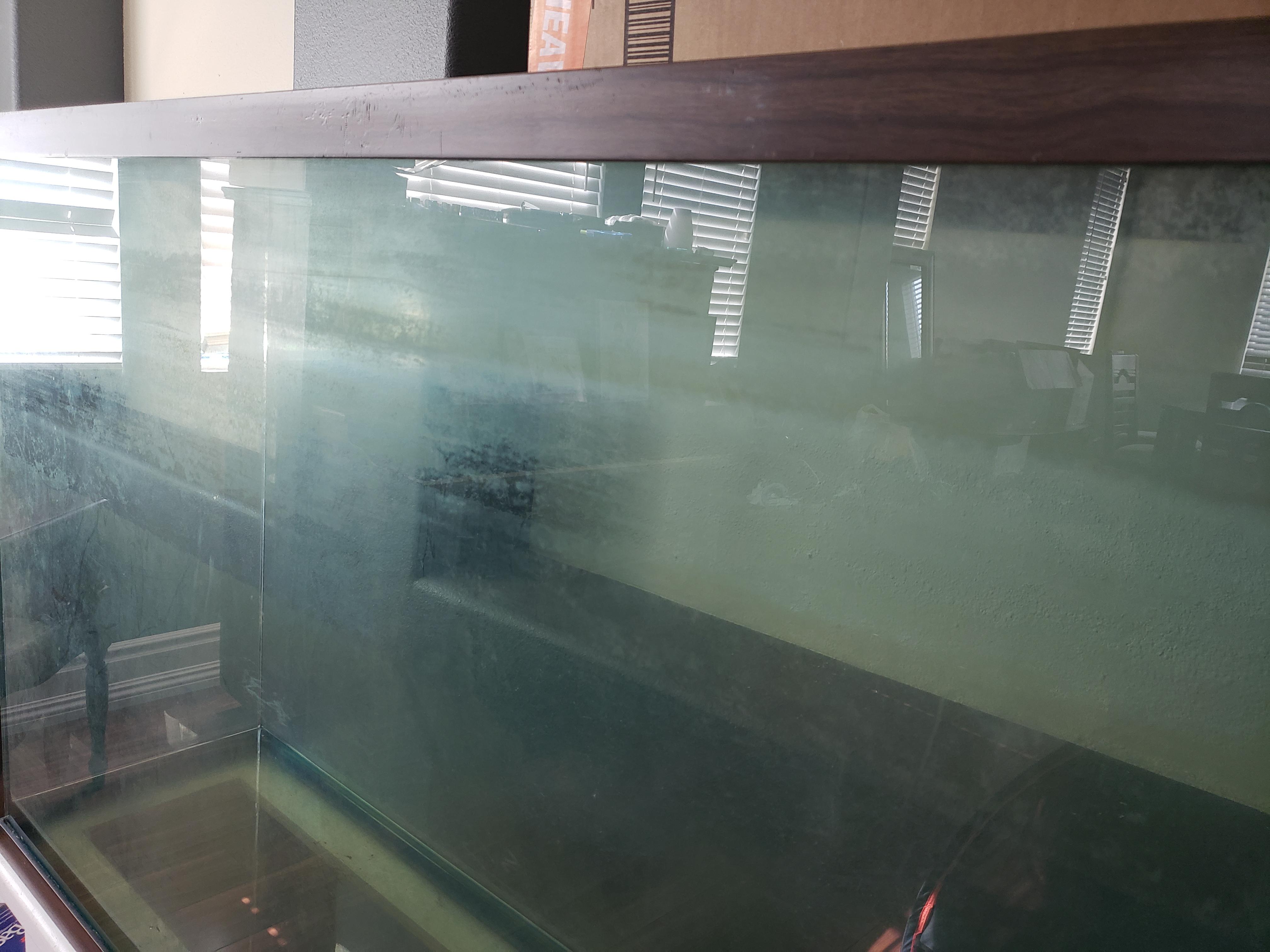 Bought a used tank. How do I clean this off the glass? r/Aquariums