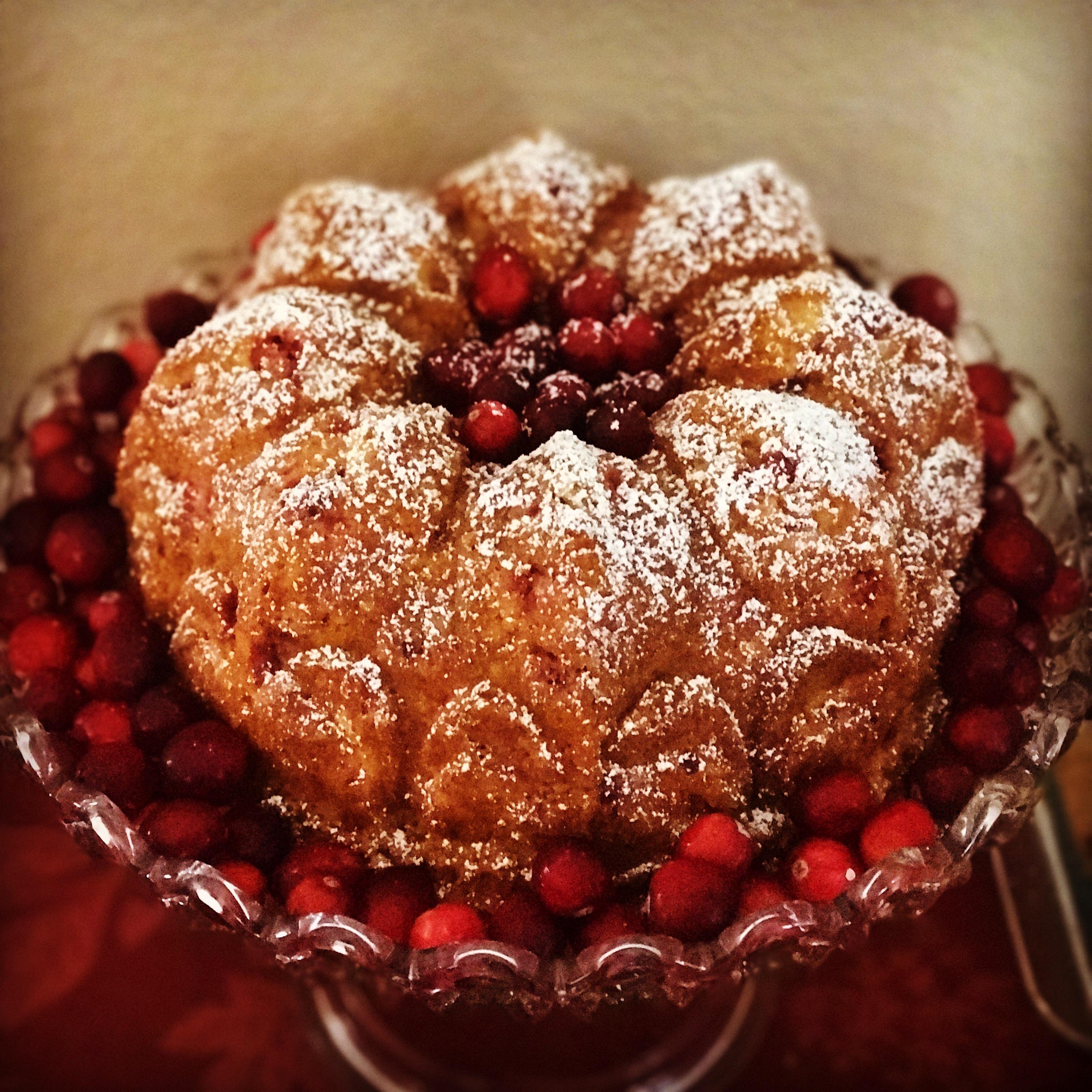Cranberry Orange Bundt cake dusted with powdered sugar and sitting in a
