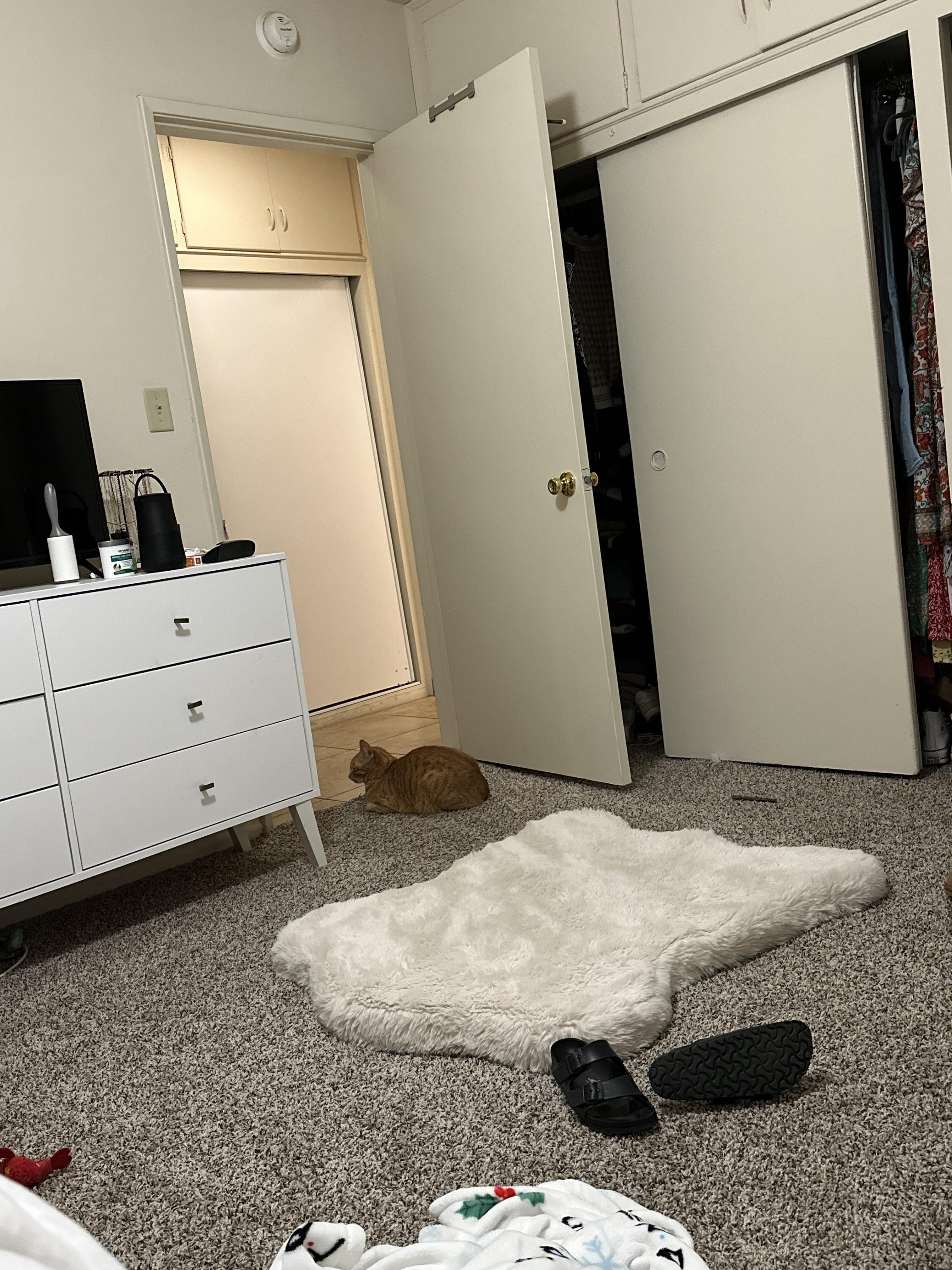 Anyone know why my cat is sitting at the door like this? r