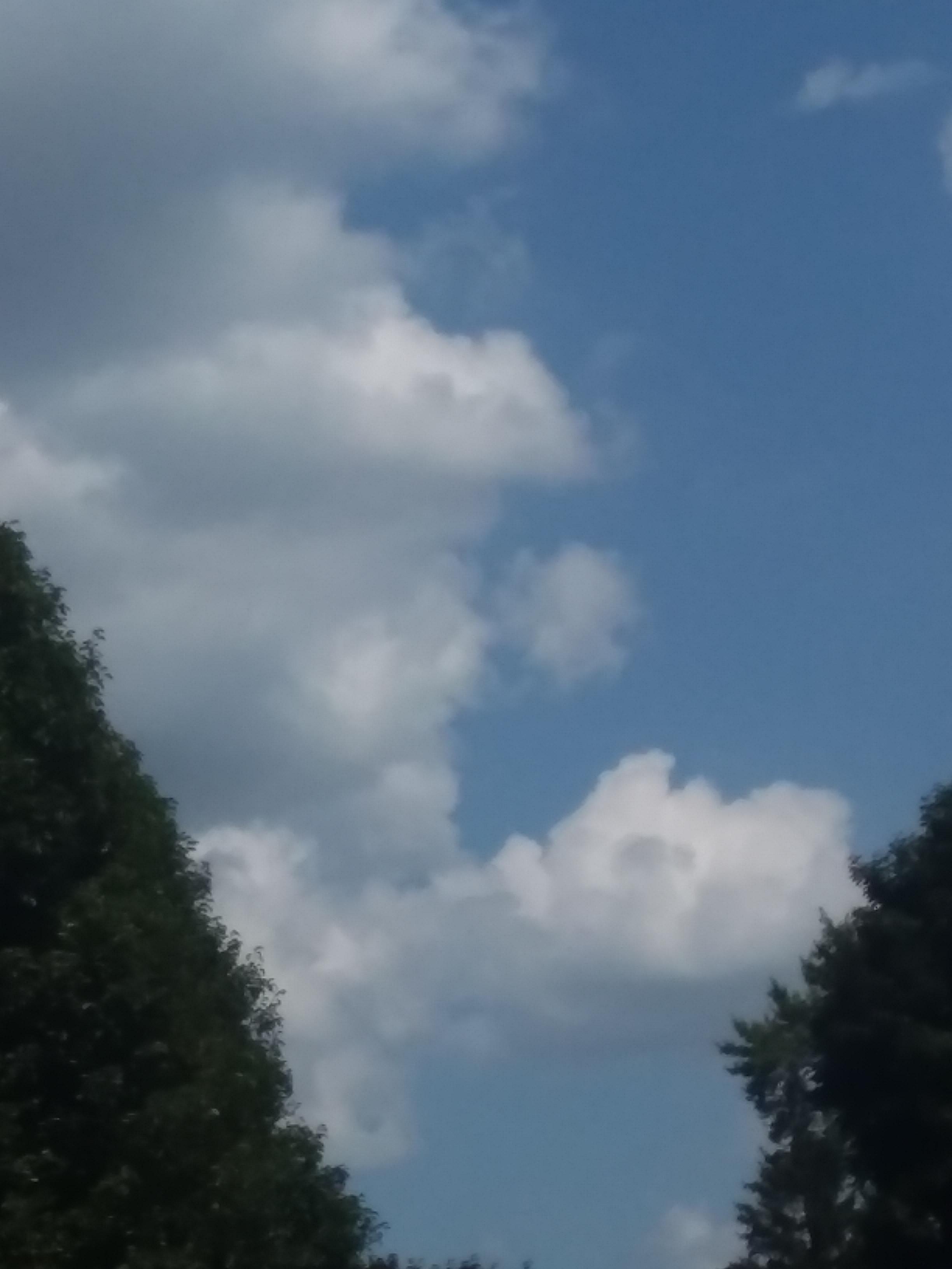 Not the best pic, but my view in Degraff, Ohio (OC) r/pics