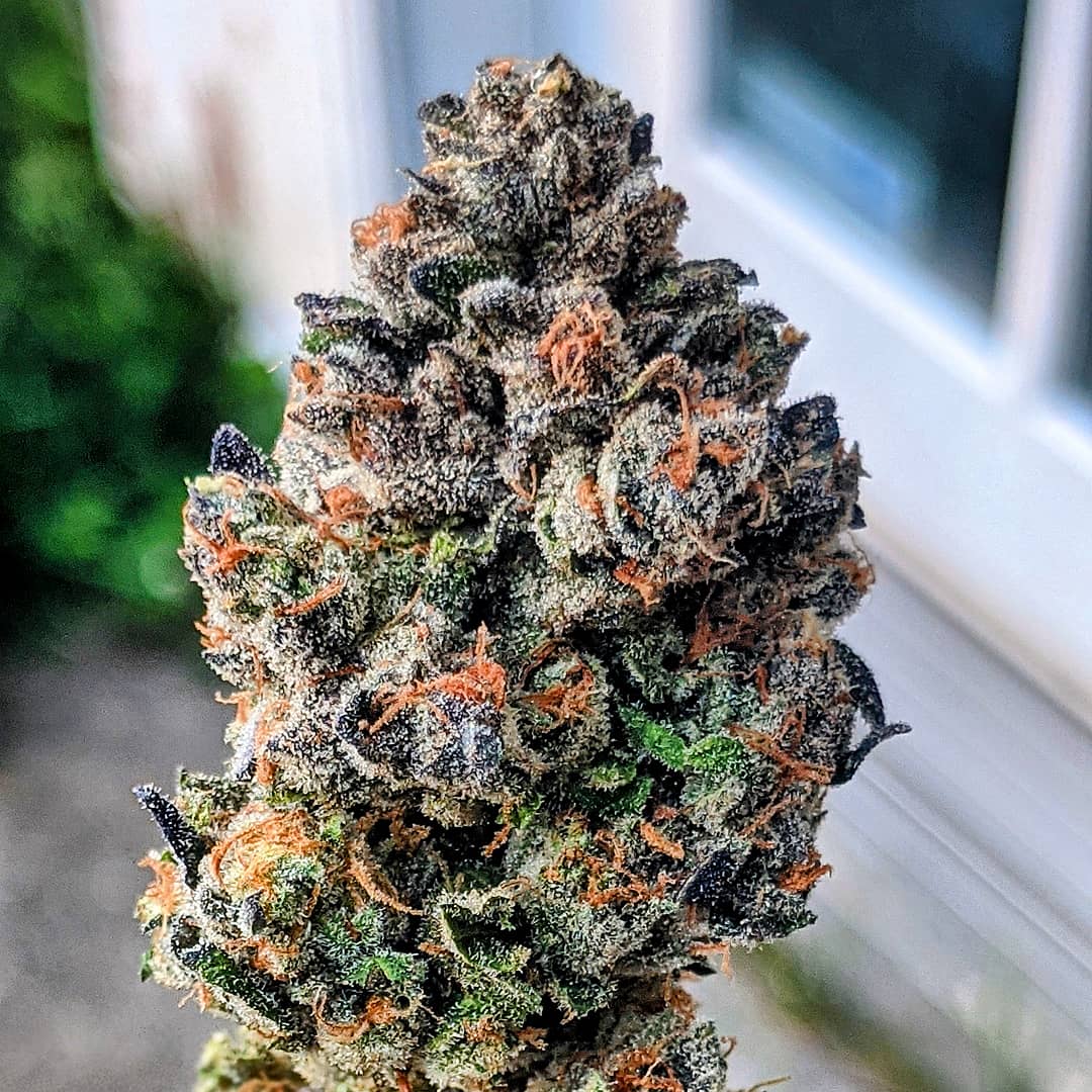 london pound cake x kush mints Reddit post and comment search SocialGrep