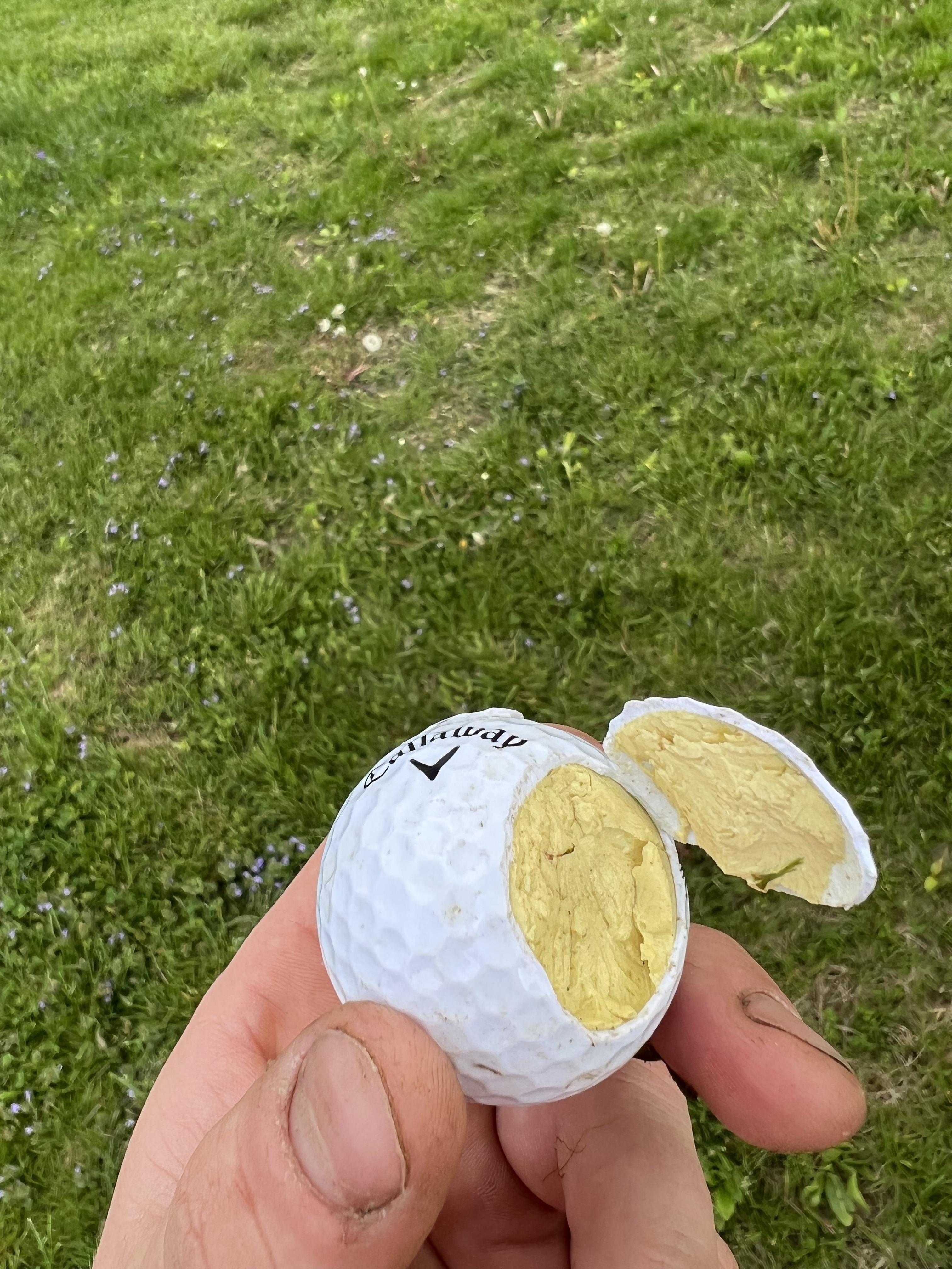 Golf ball egg r/Egg