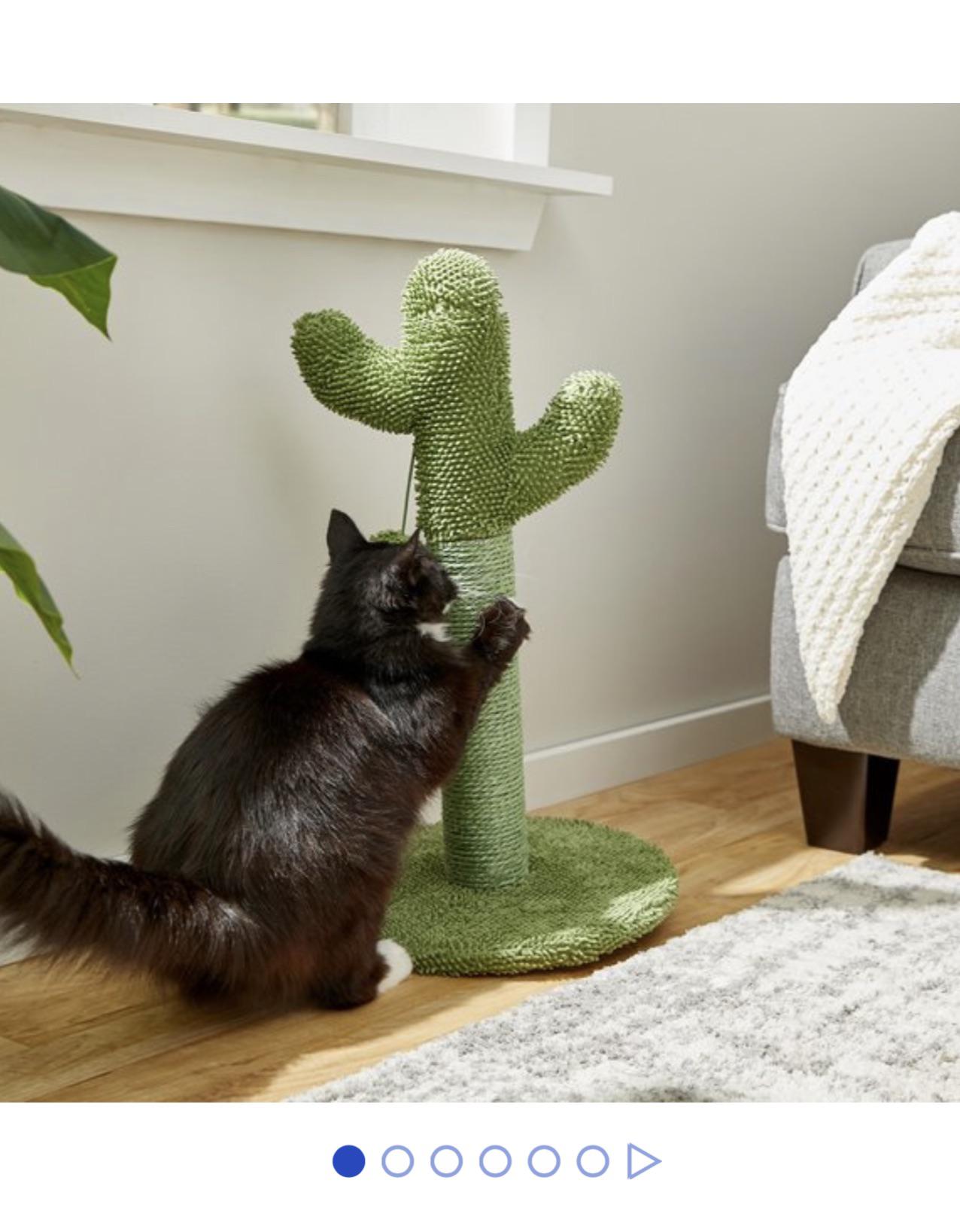 Does anyone know if ferrets like cat scratchers ?? r/ferrets