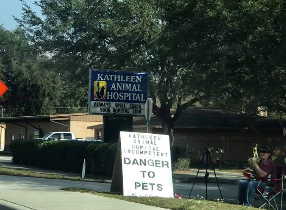 Pet shop with the clap back r/lakeland