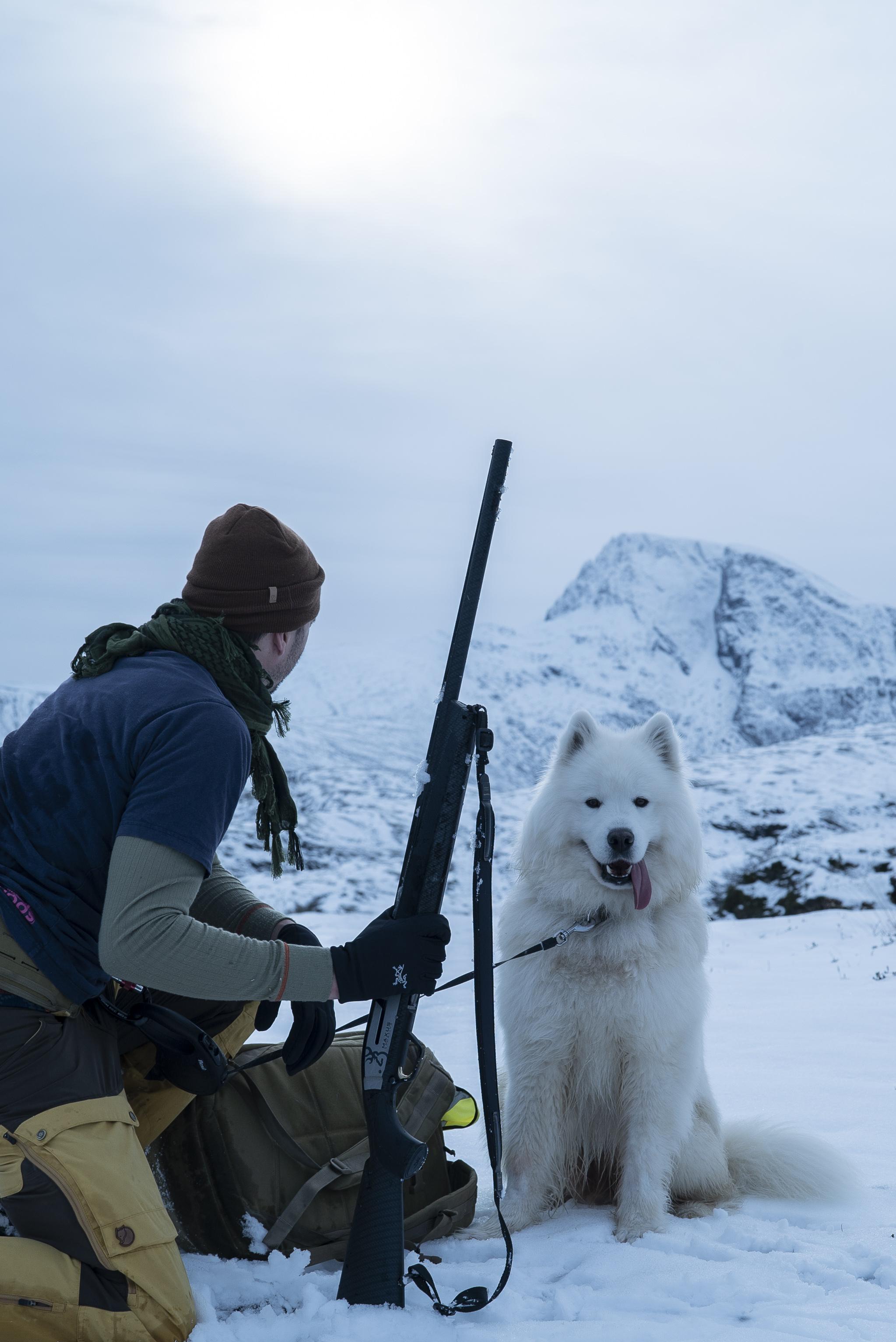 Ptarmigan hunting in the Arctic, late winter. r/Hunting