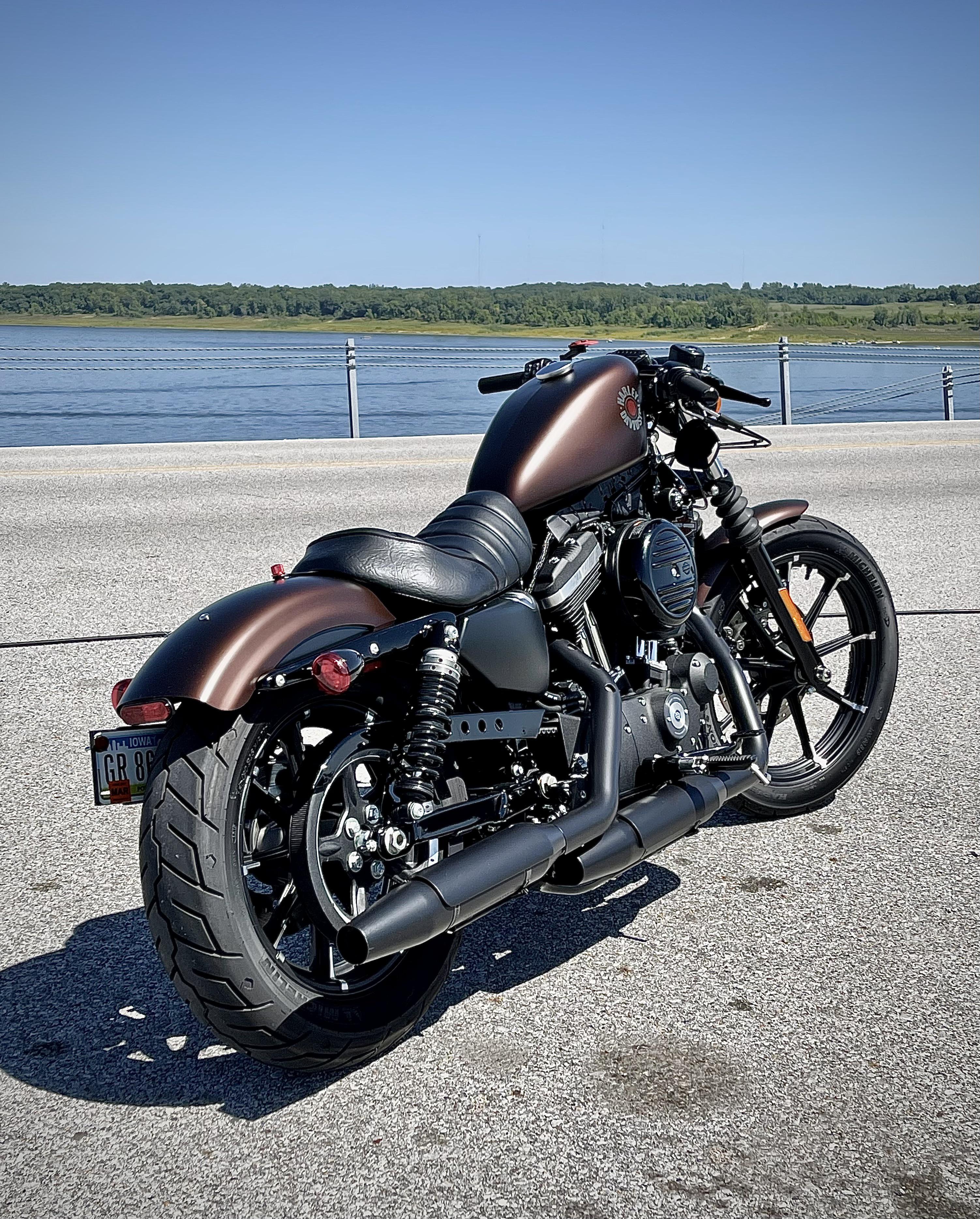 My 2019 Iron 883 Drag Bars + Tank Lift r/Harley