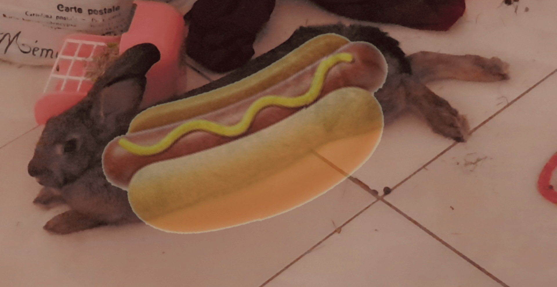 the hot dog pose : r/Rabbits