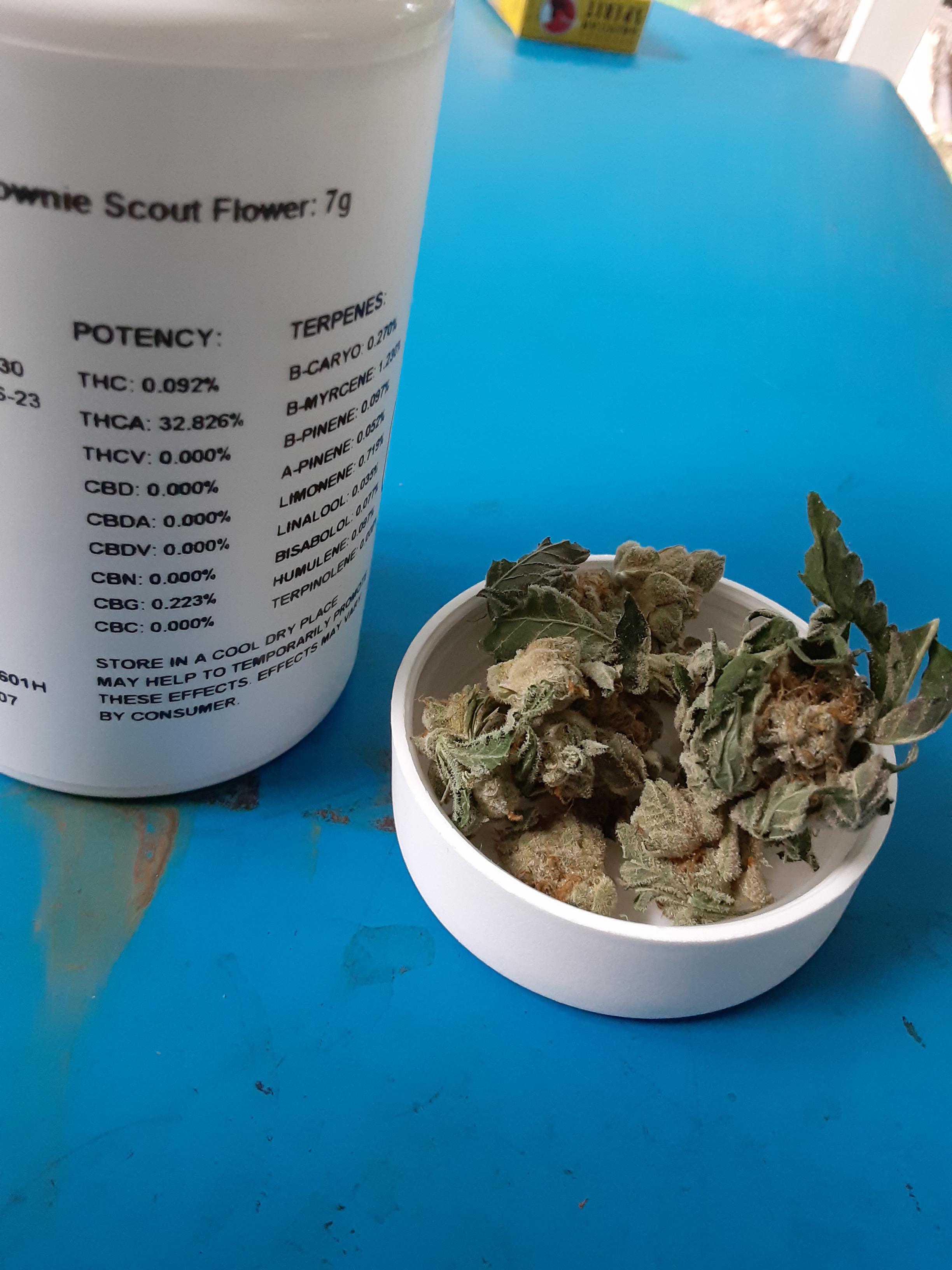 Went to rise today to pick up brownie scout &shine 100 for this still