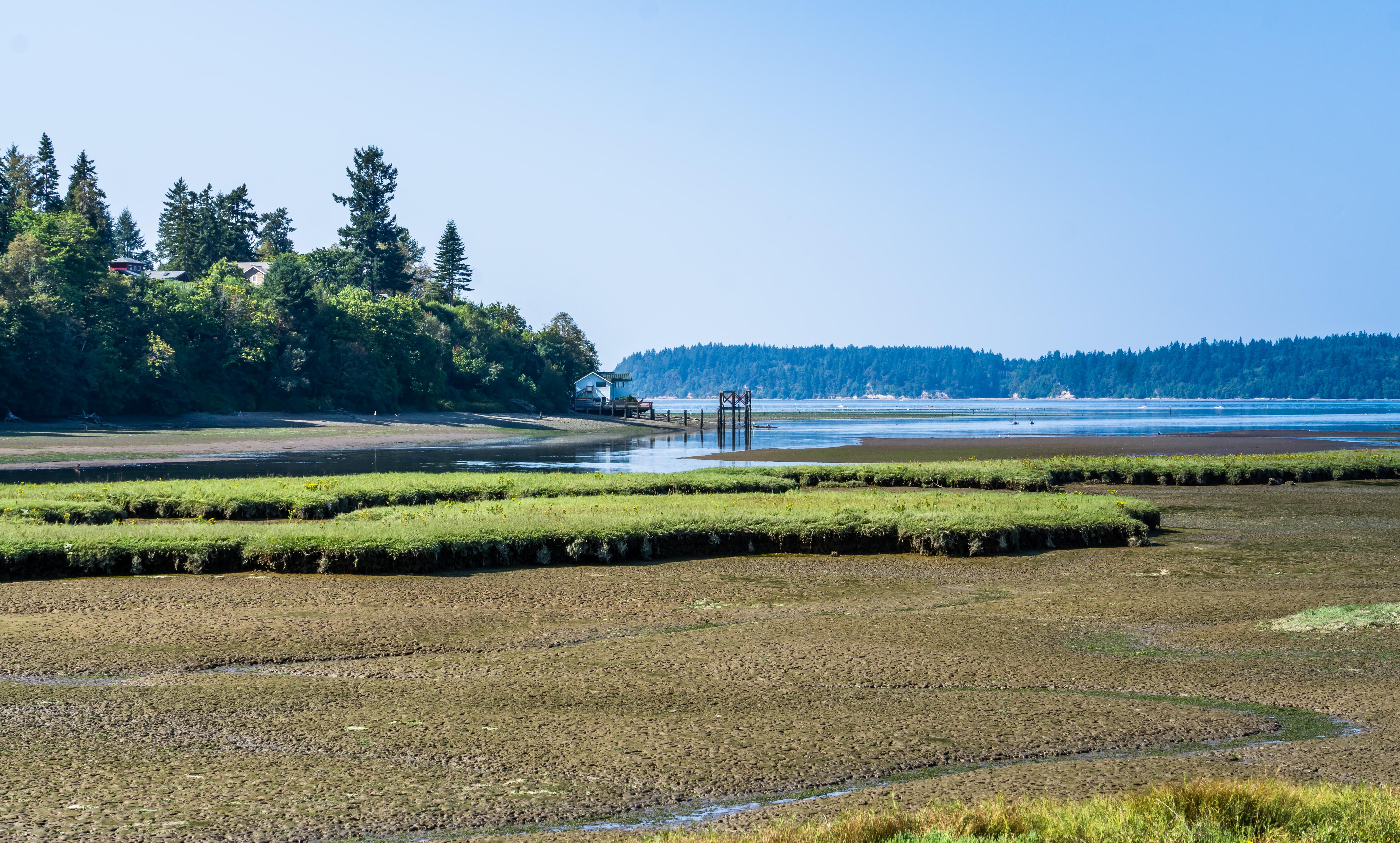 Nisqually Wetlands where the Nisqually river meets the Puget Sound. Summer time. [OC] r/Washington