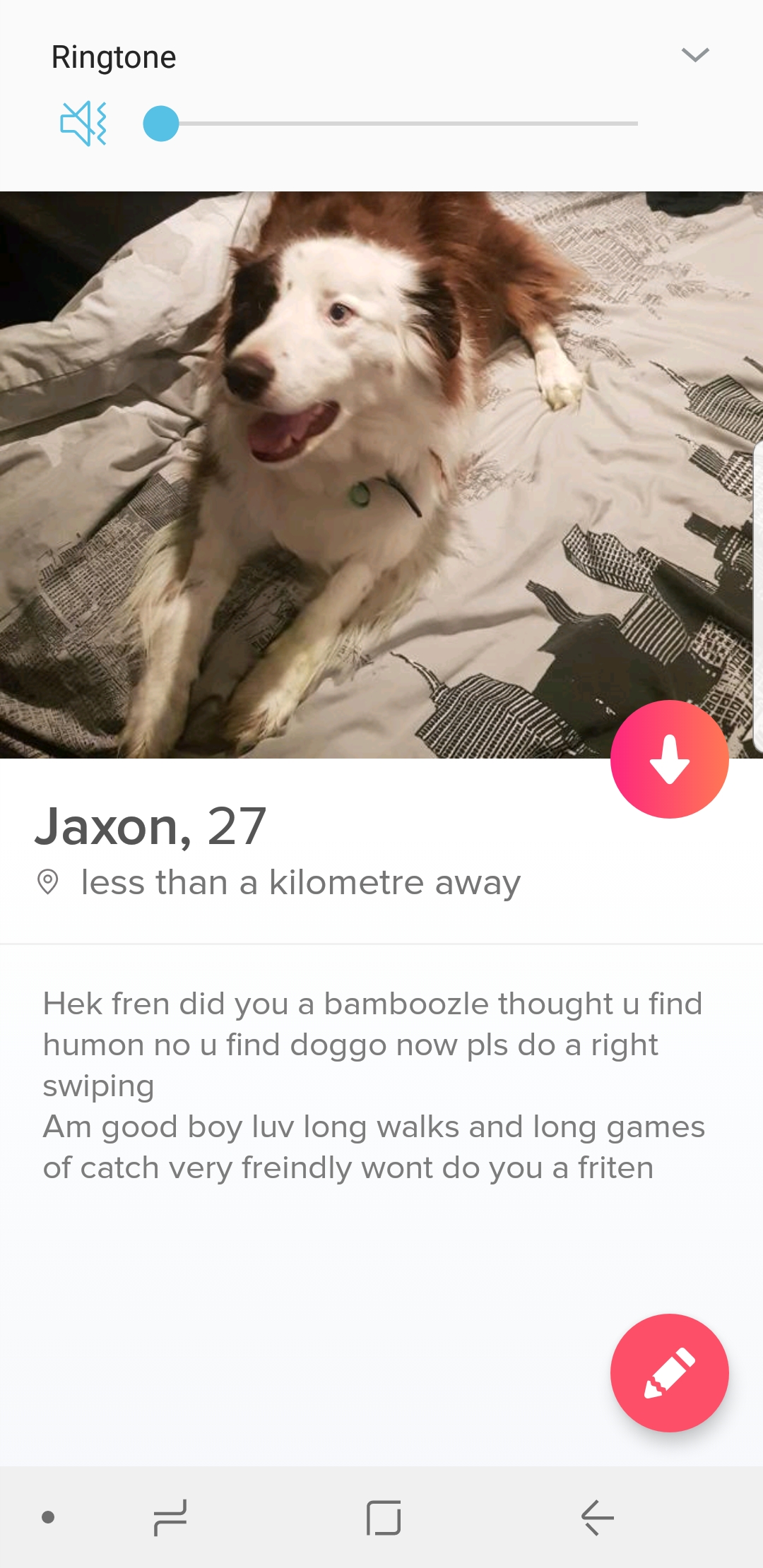 Best Dating Apps Reddit Australia / Bumble Bmbl Stock Price Should You