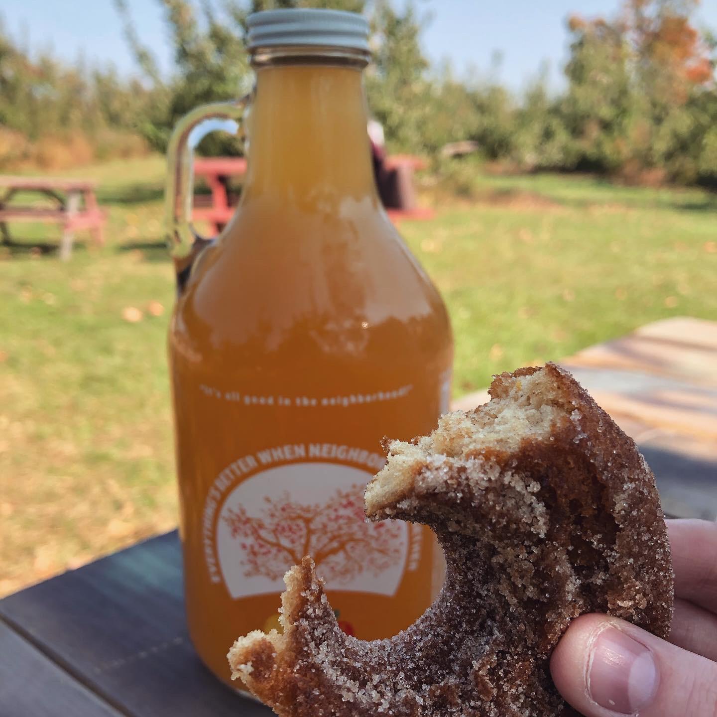 Red Apple Farm my first apple cider donut + New England farm