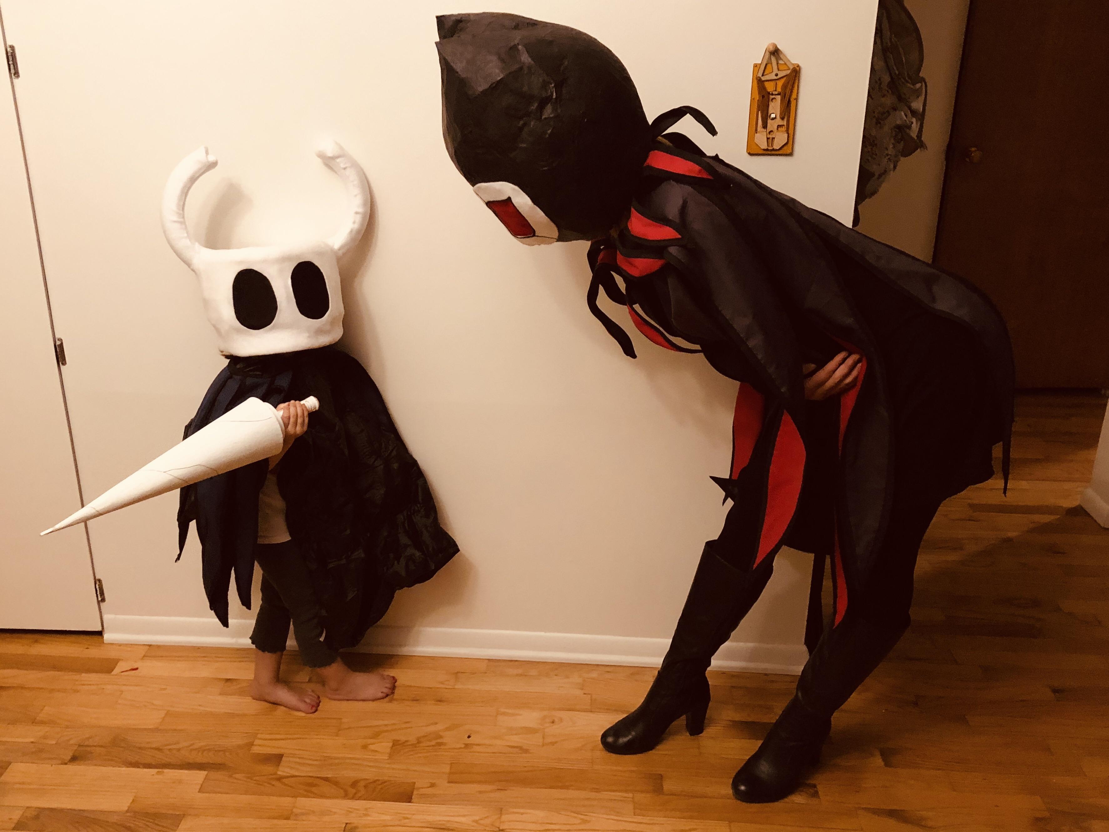 Literally nobody knew what we were. L HollowKnight