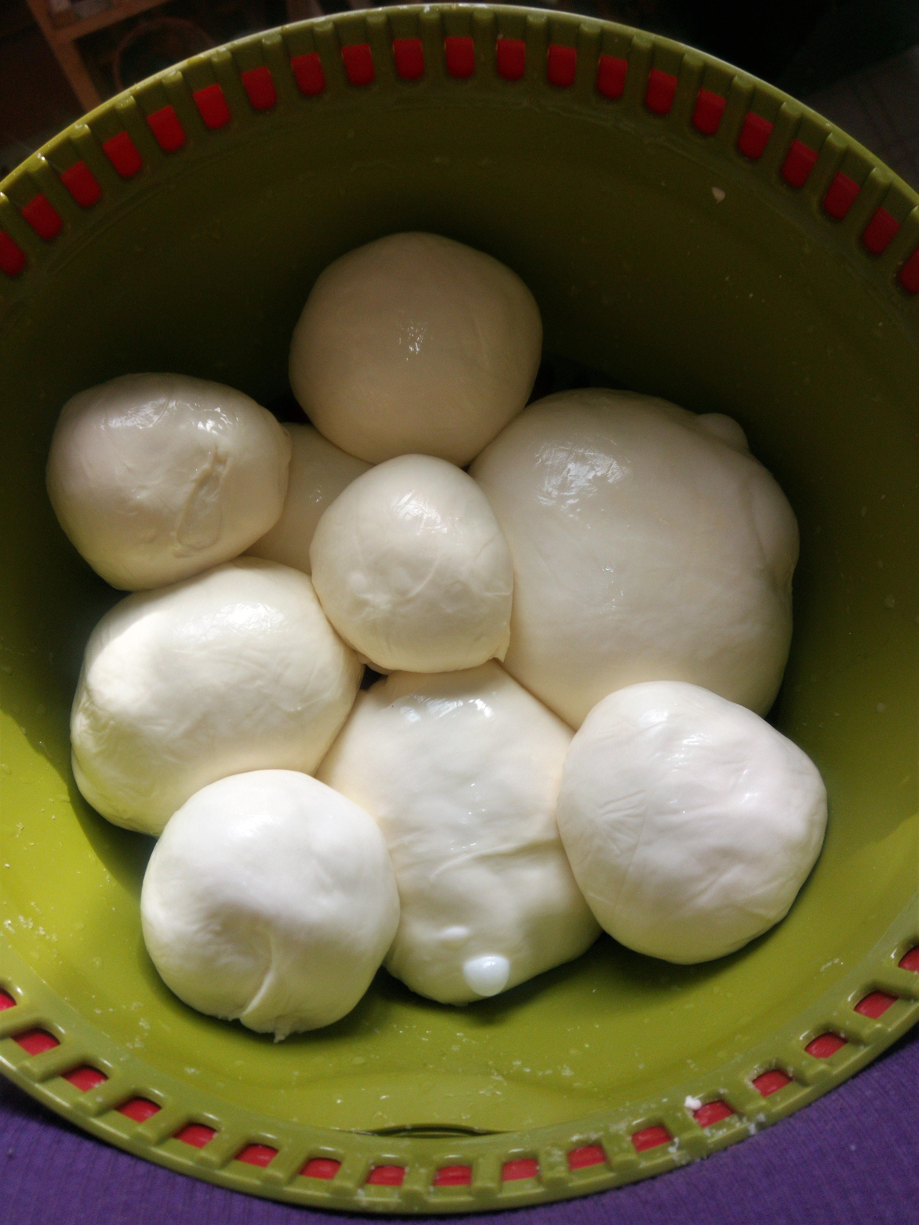 Traditional Mozzarella balls, Milk r/cheesemaking