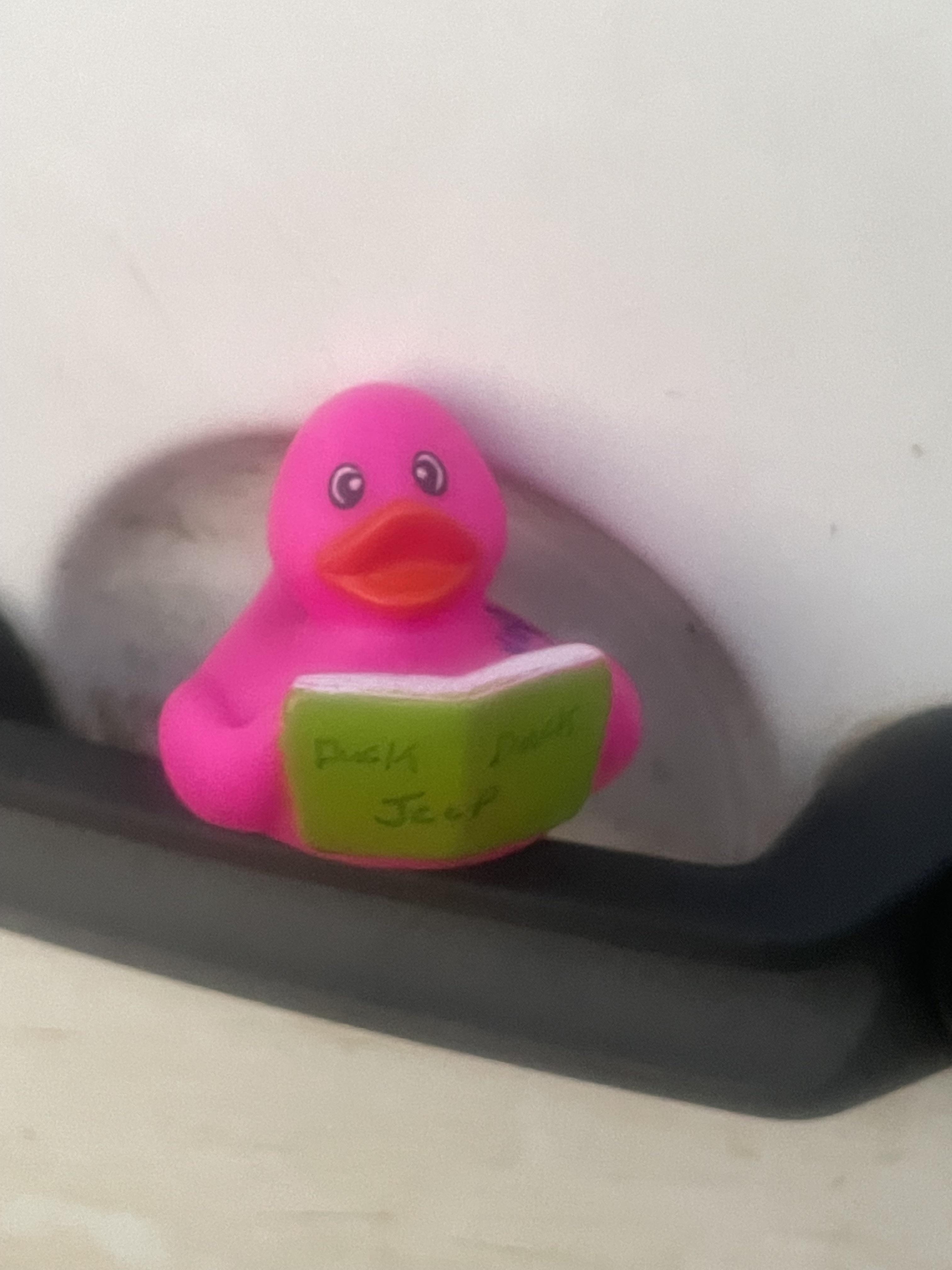 Got my first duck. Meridian, MS r/DuckDuckJeep