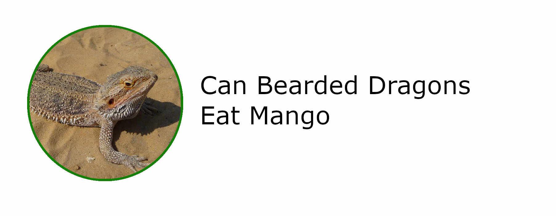 Can Bearded Dragons Eat Mango r/ReptileRange