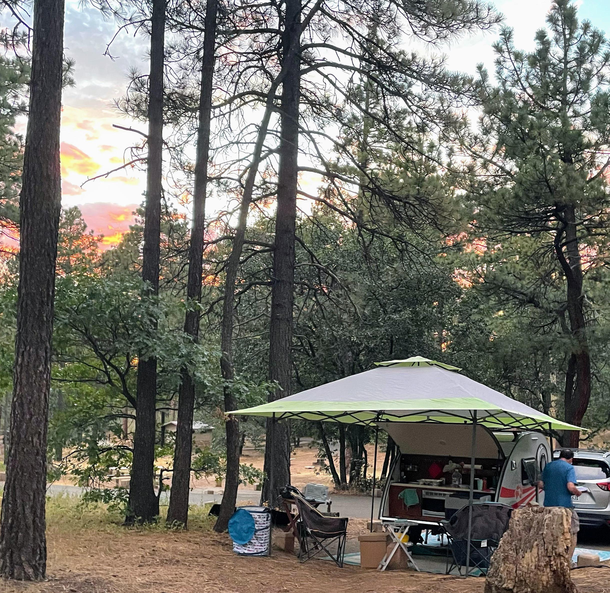 Burnt Rancheria campground on Mt. Laguna r/TeardropTrailers