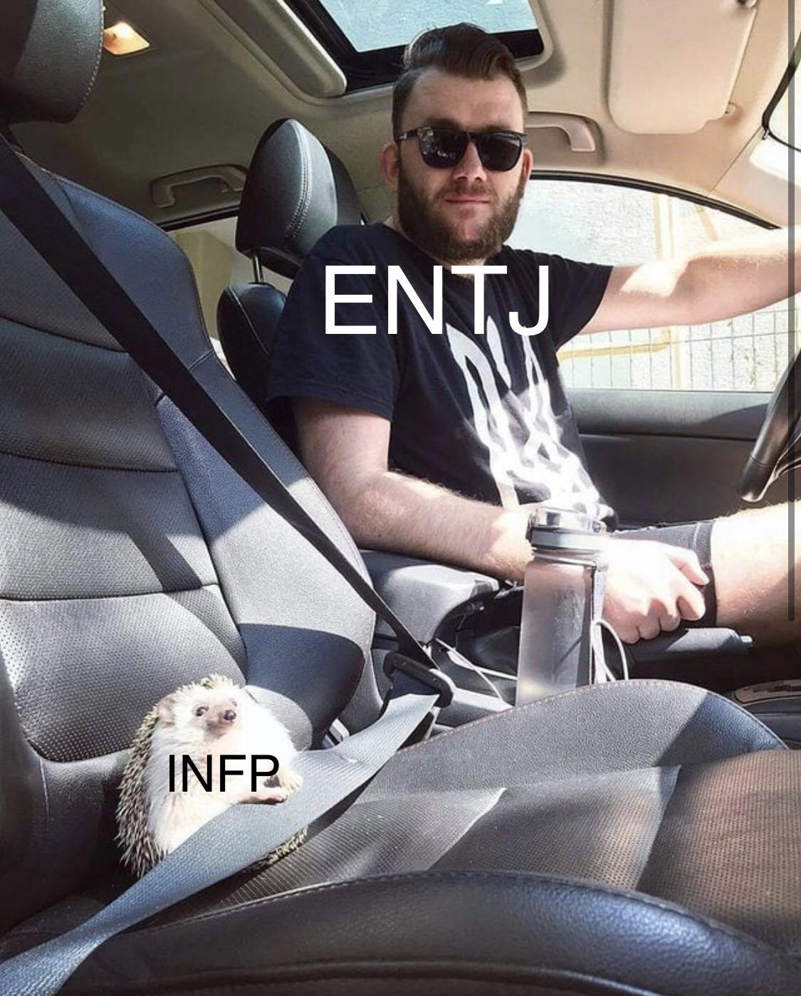 How an ENTJ and INFP feel about themselves when together in a car r/infp