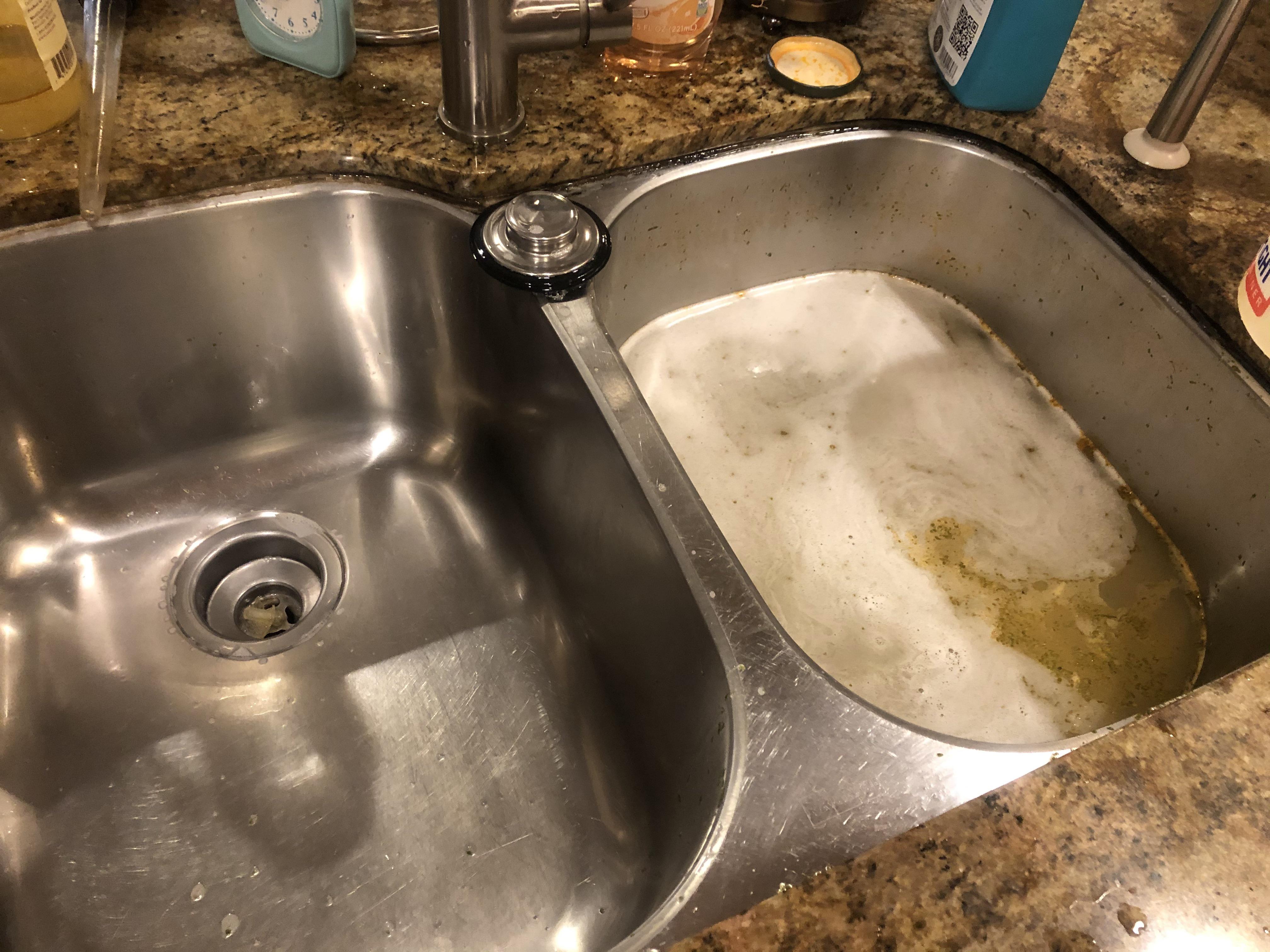 I garbagedisposed a bunch of aquarium trimmings today and messed