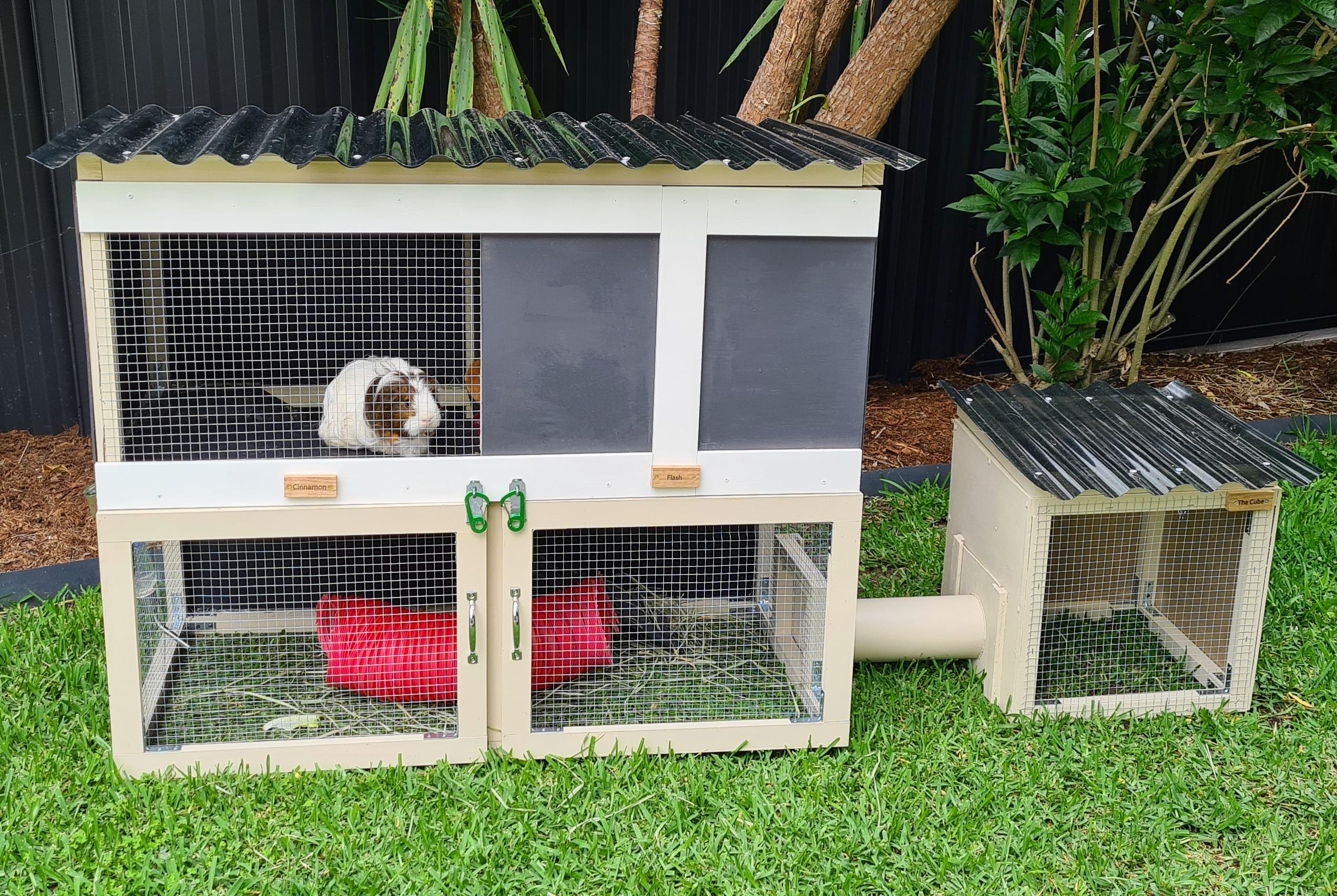 Best Guinea Pig Cage Posts Reddit