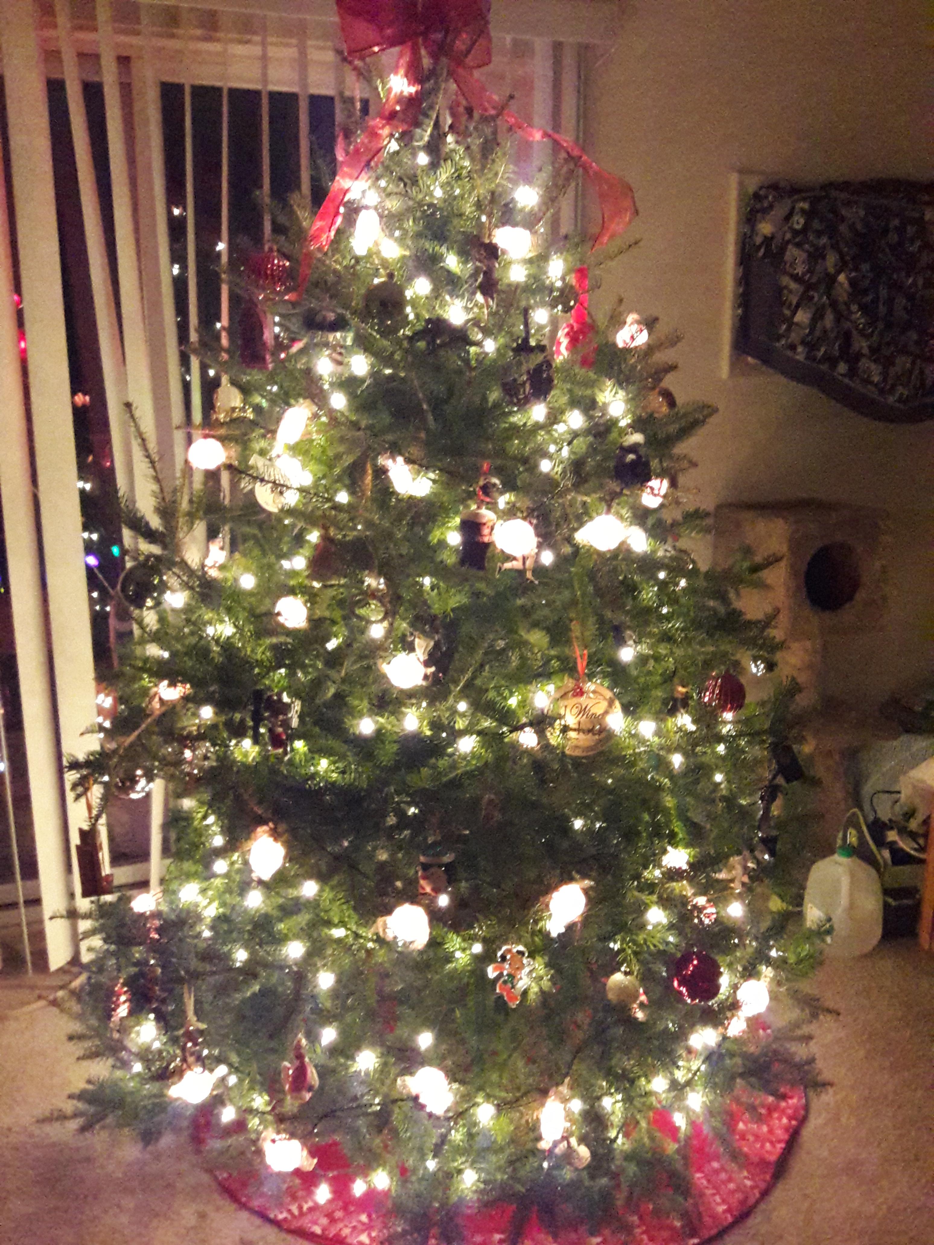 Our Christmas tree all decorated! r/christmas