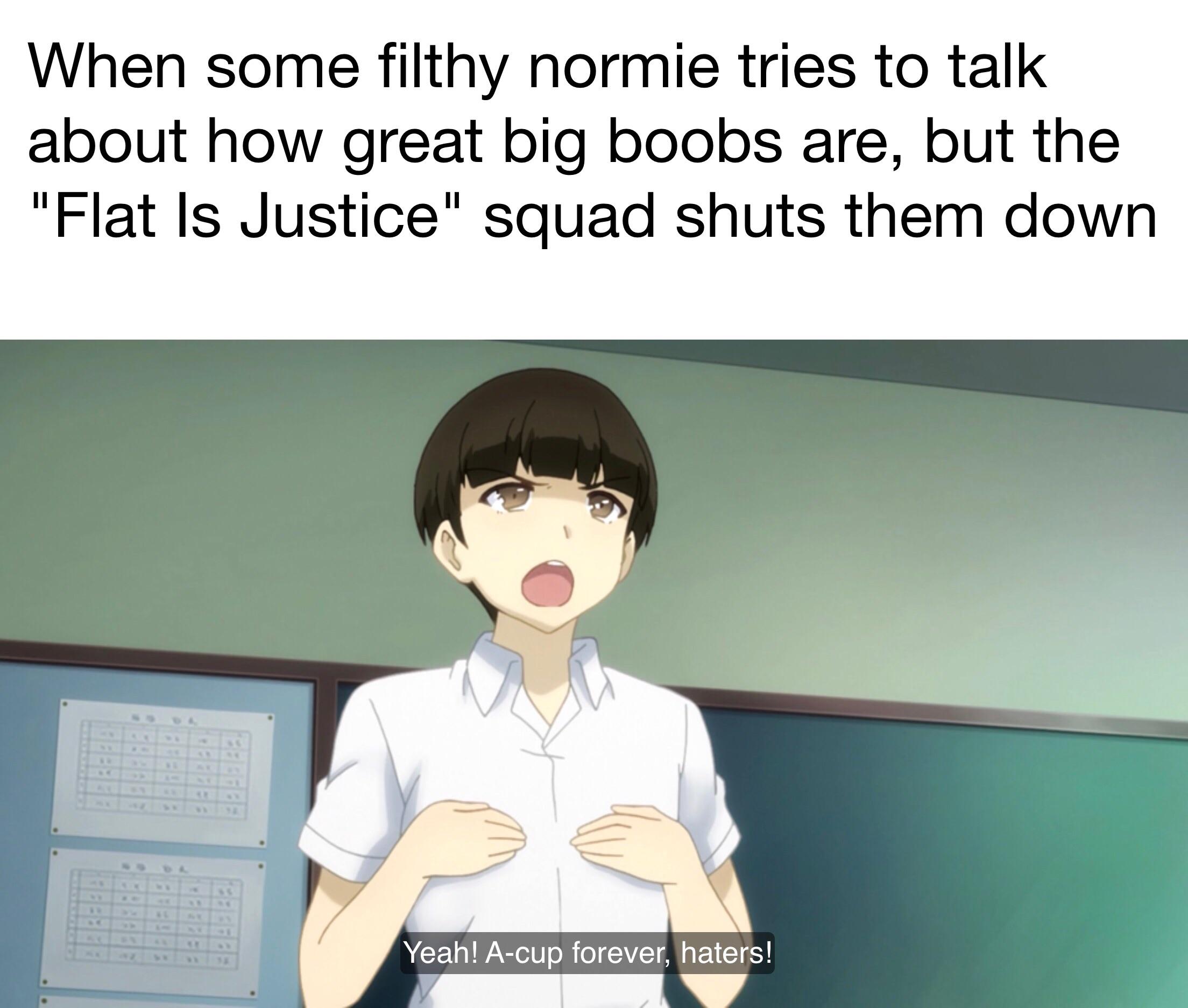 Flat. Is. Justice. r/Animemes