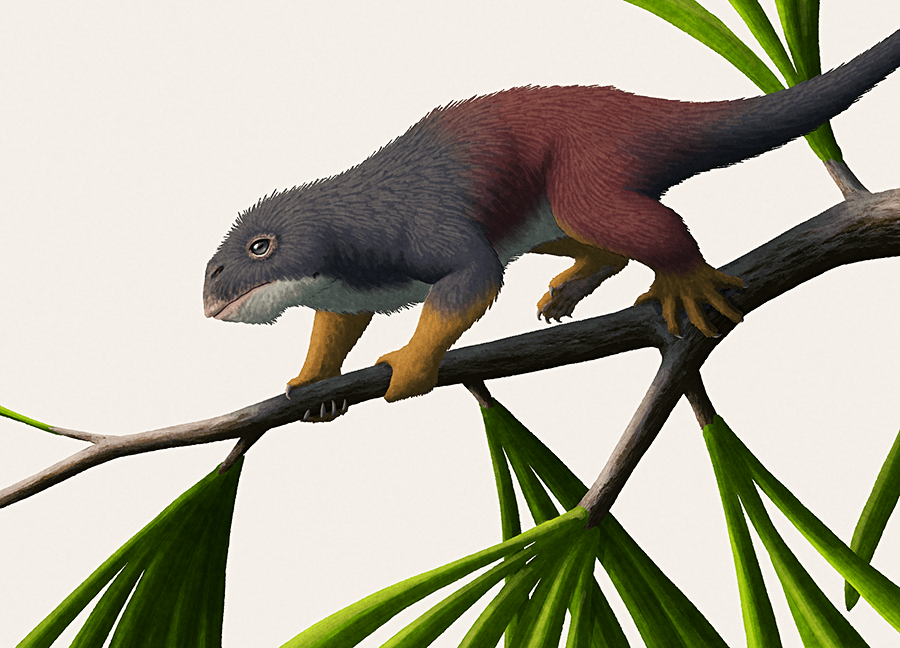 260 million years ago, long before the dinosaurs even existed, there