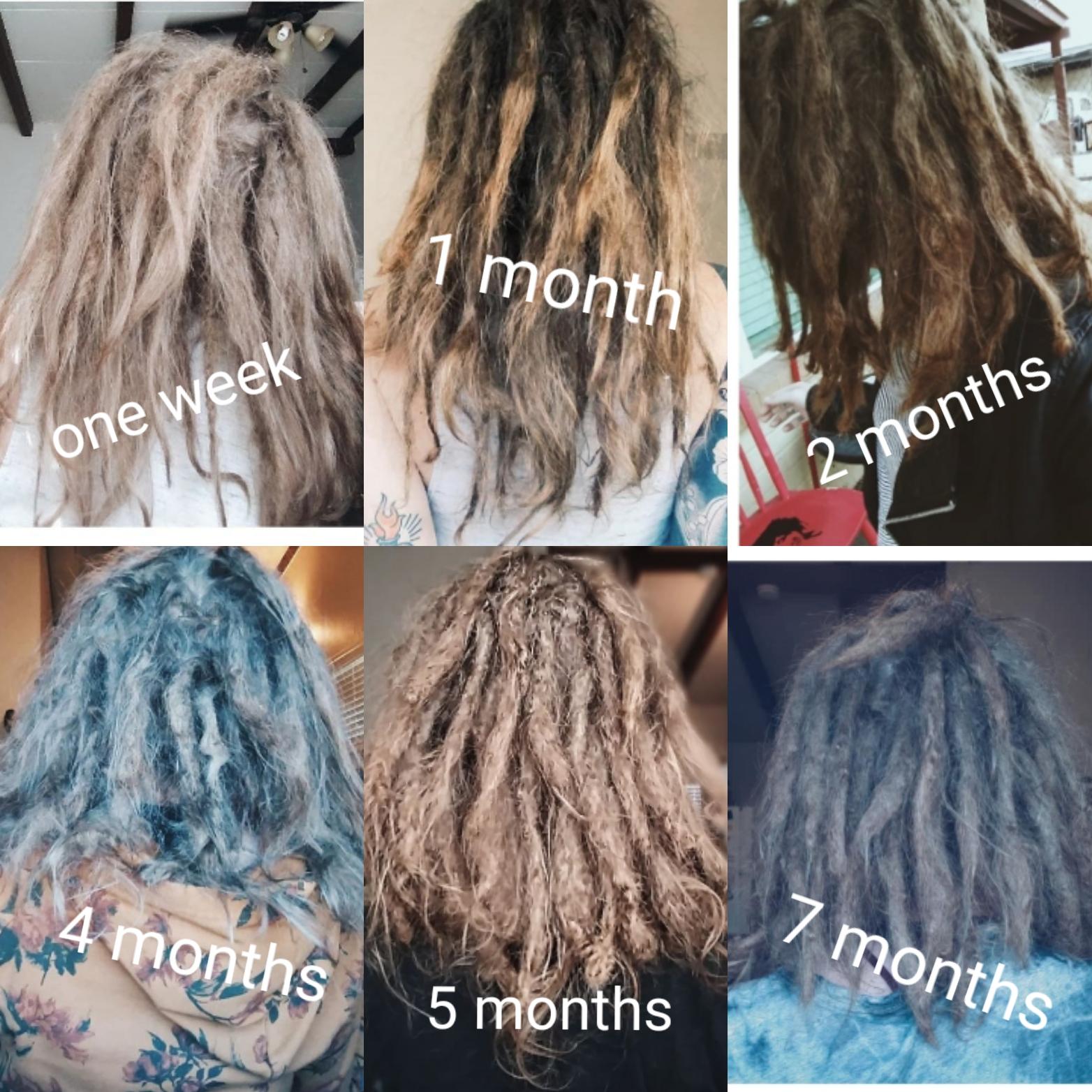 Growing Dreads Process