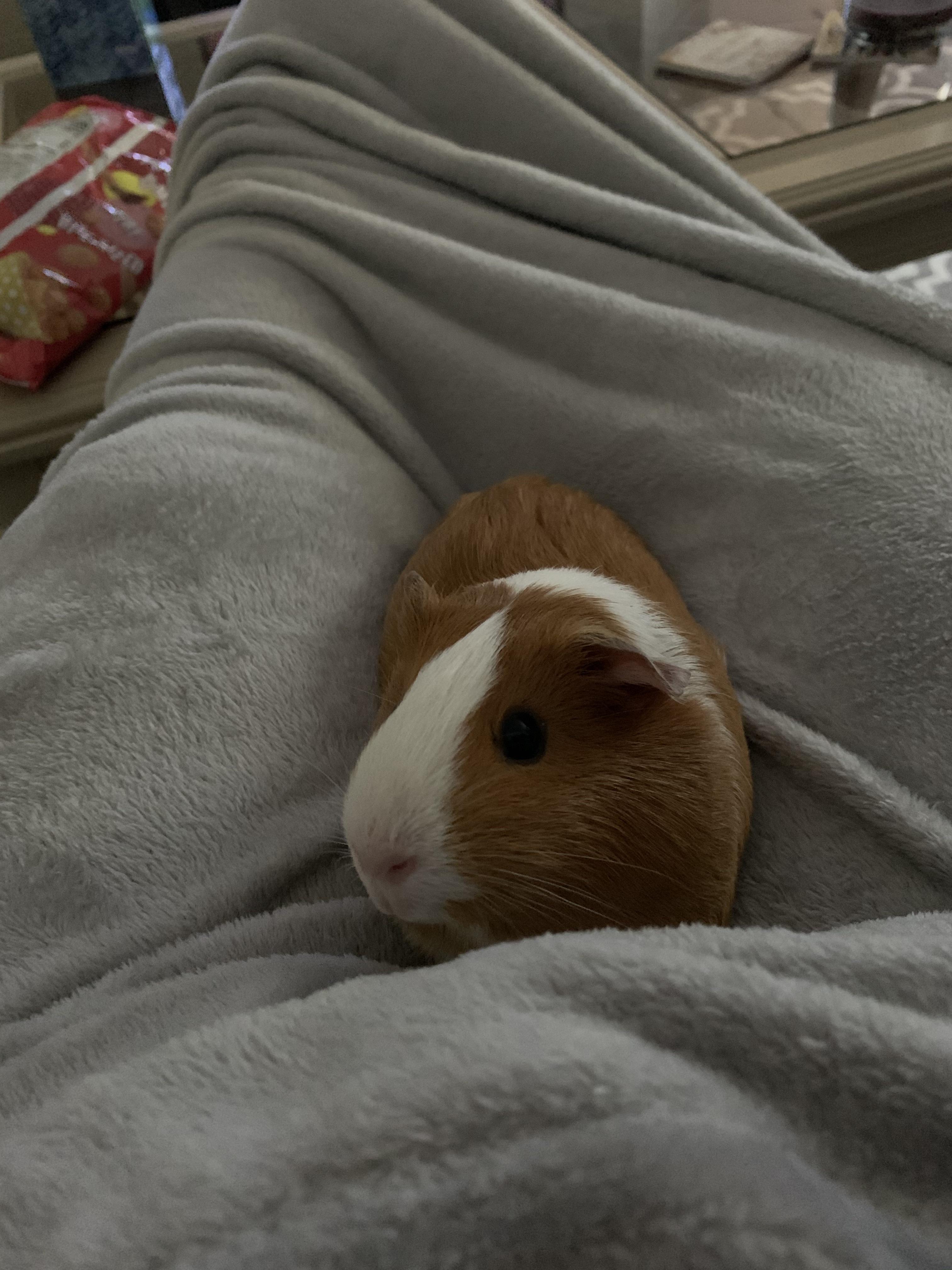 I bought a bag of greens from walmart & it has collard greens, mustard