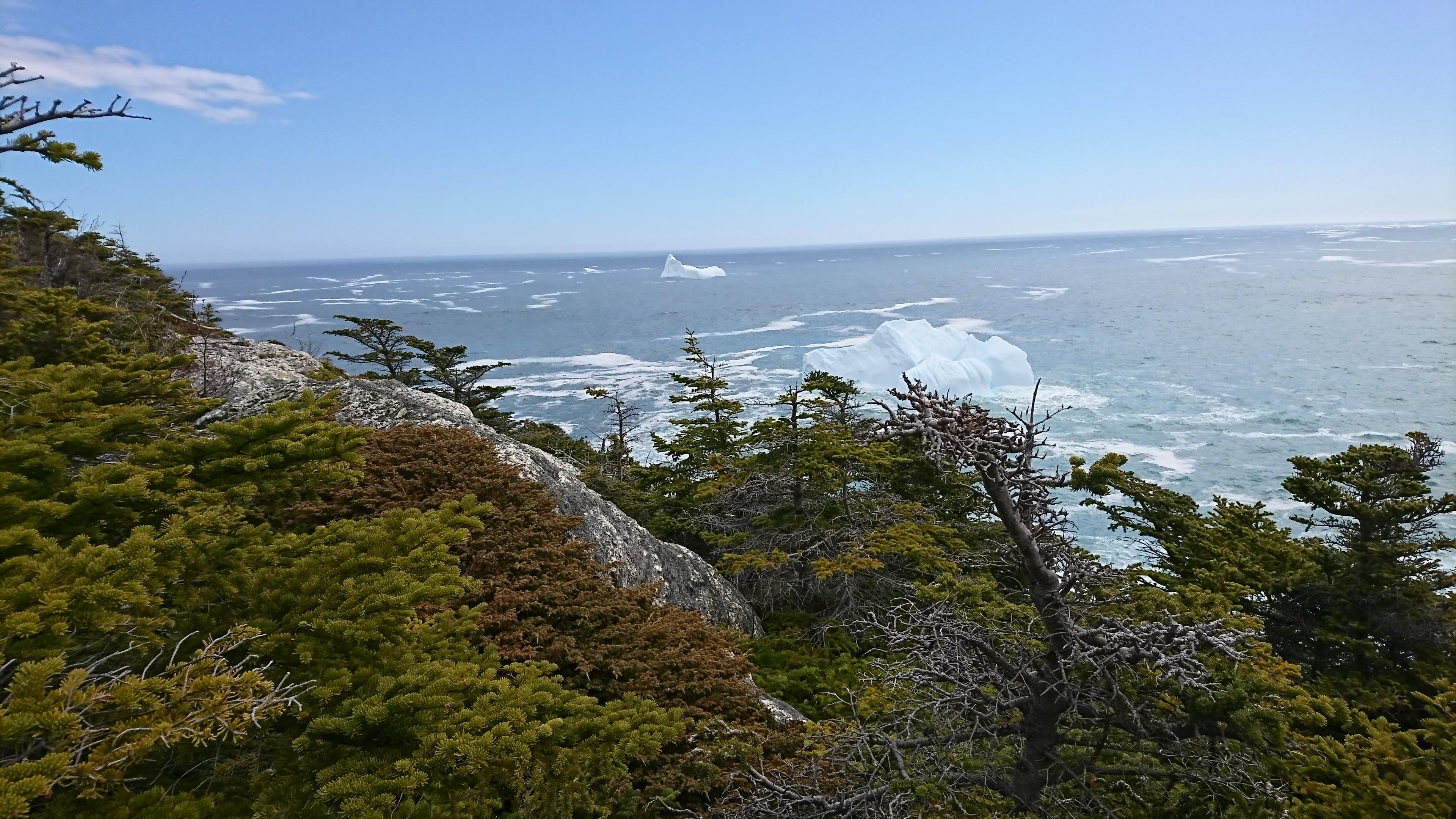 East Coat Trail.Pouch Cove, Newfoundland r/pics