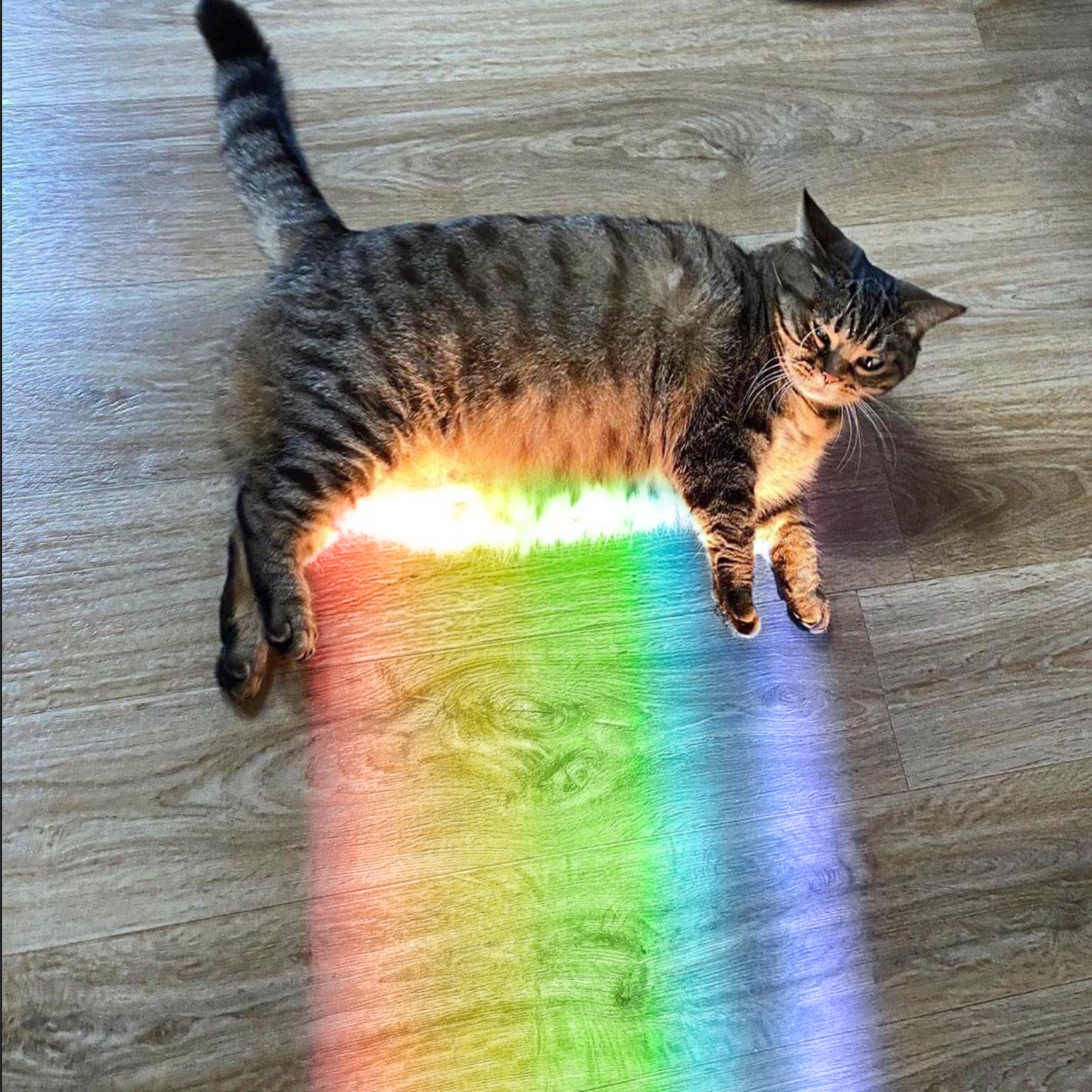 I saw "The Holy Belly" post and can't resist and made this "The Rainbow