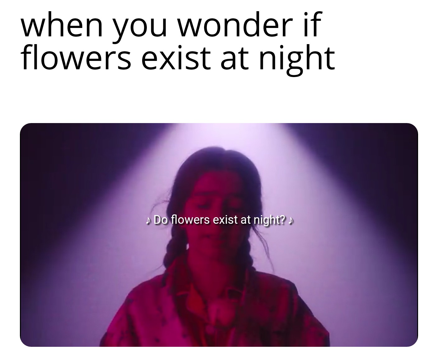 This is totally me when I wonder if flowers exist at night r/dankmemes