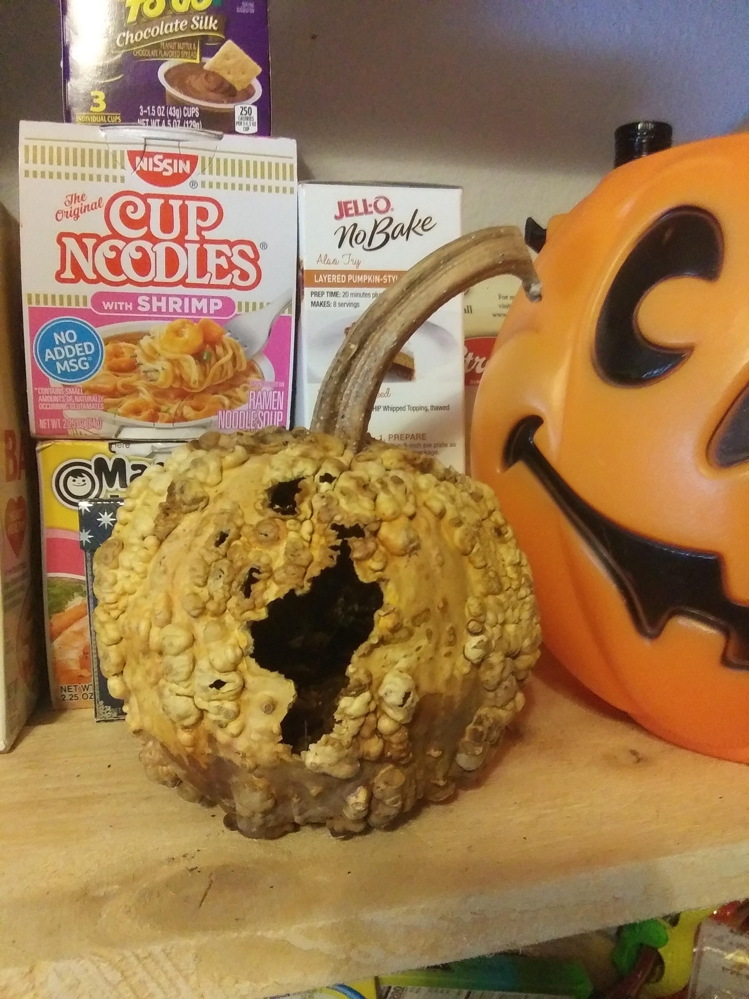 LOOK AT MY PETRIFIED PUMPKIN! It's one of those little gnarly pumpkins