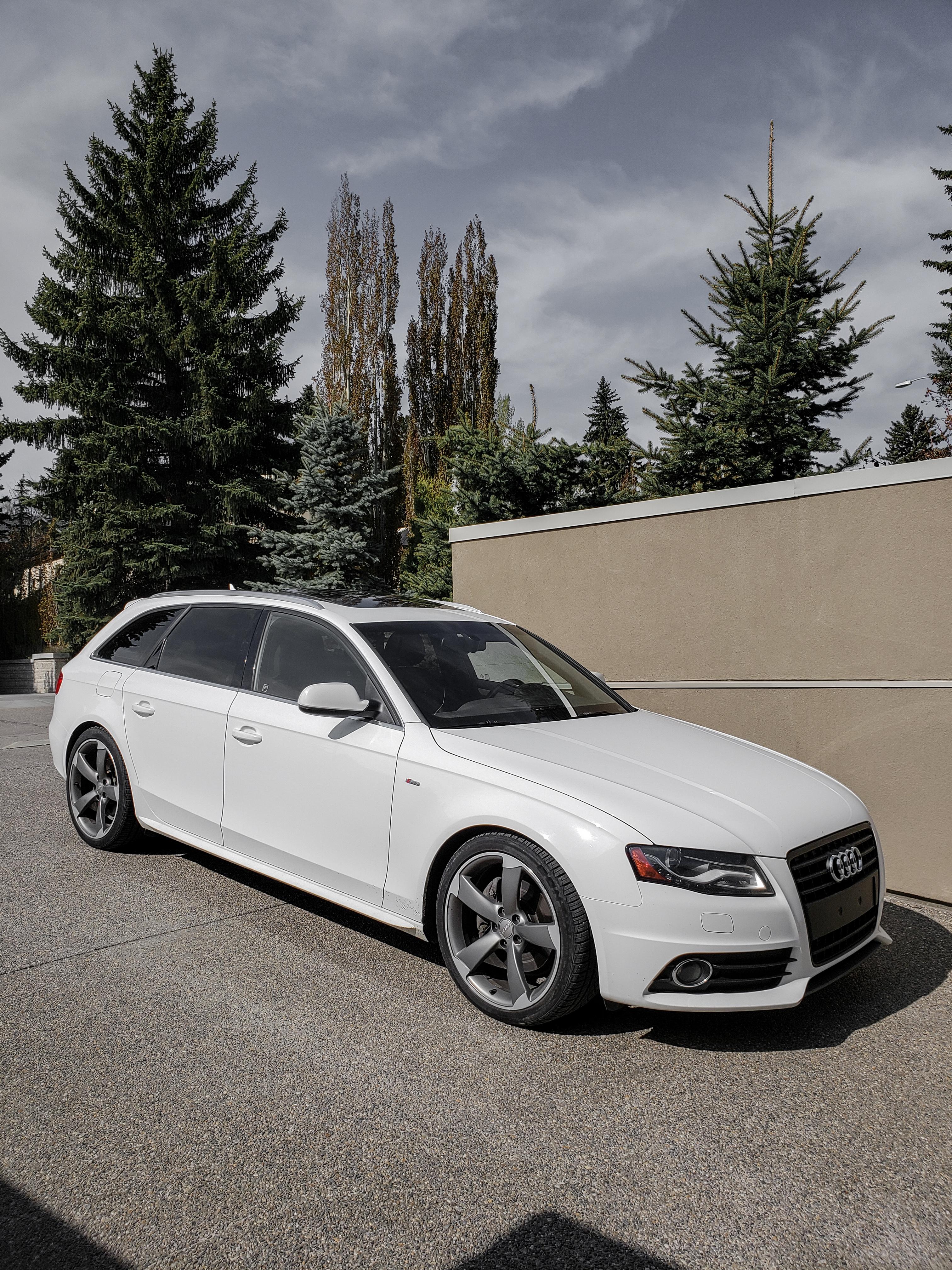 Just picked up this B8 A4 Avant this past weekend! My first Audi and I