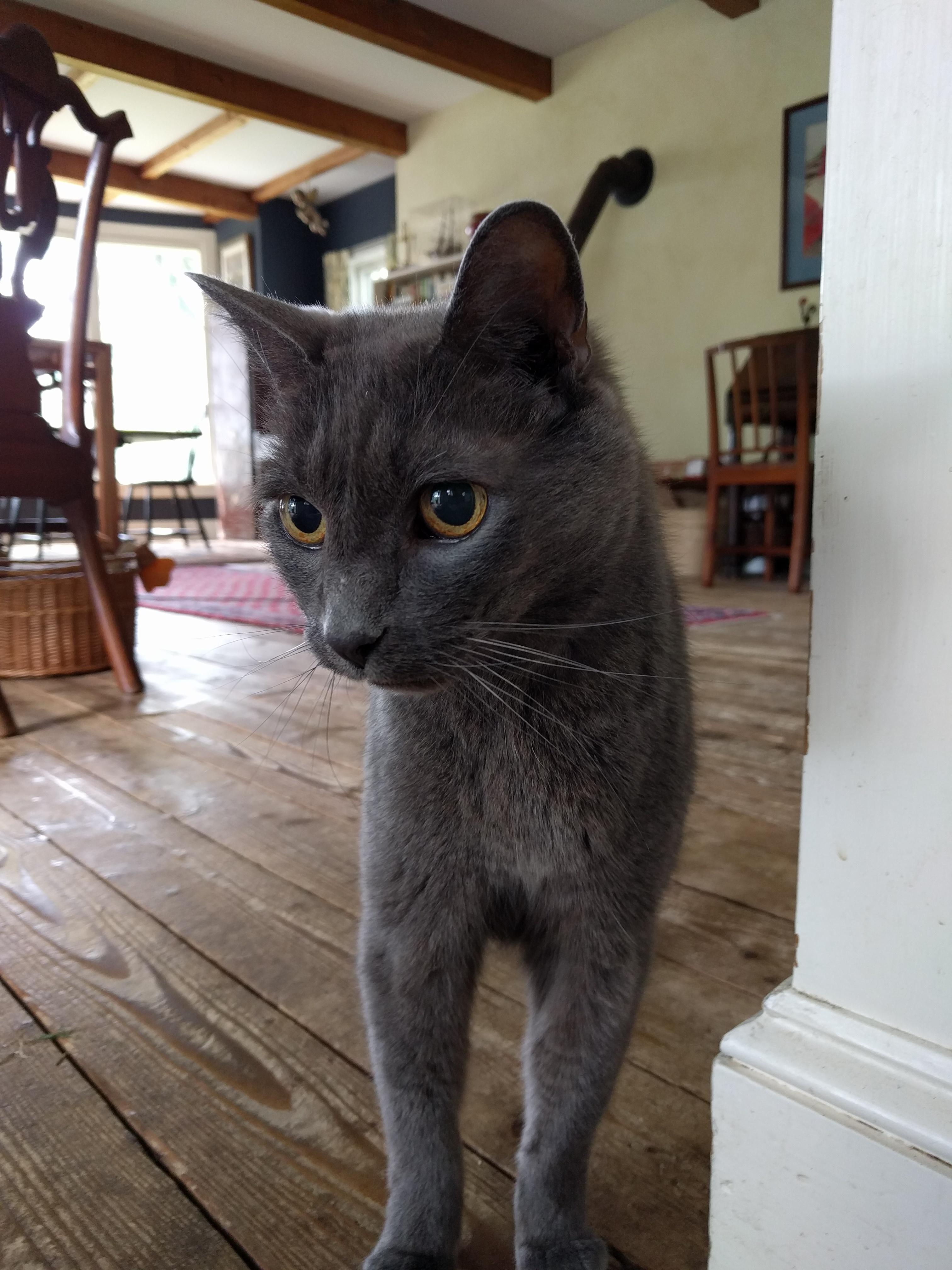 This is Chad. He just turned 20! aww
