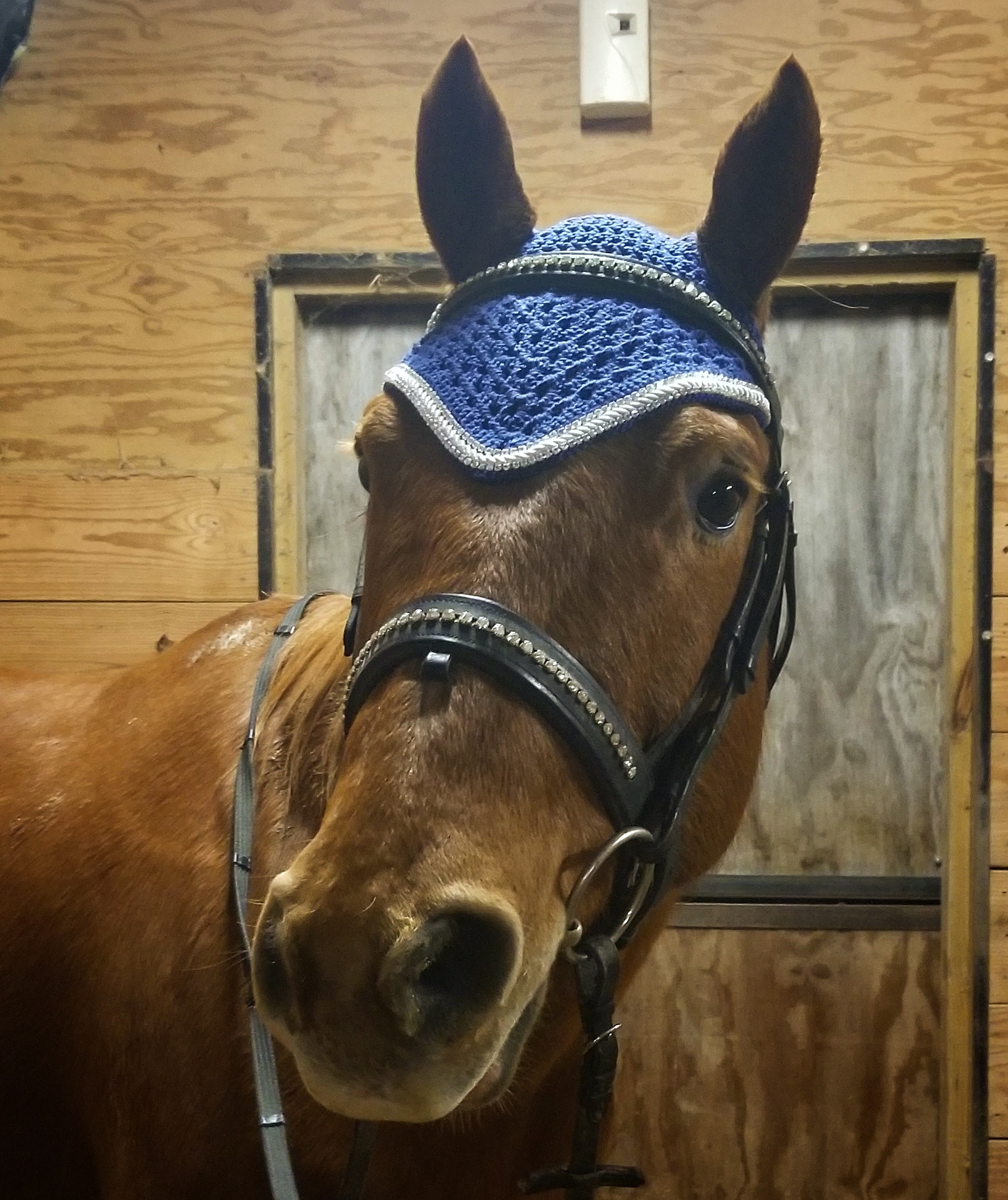 Almost finished! Measured his ears tonight for the ear covers but look