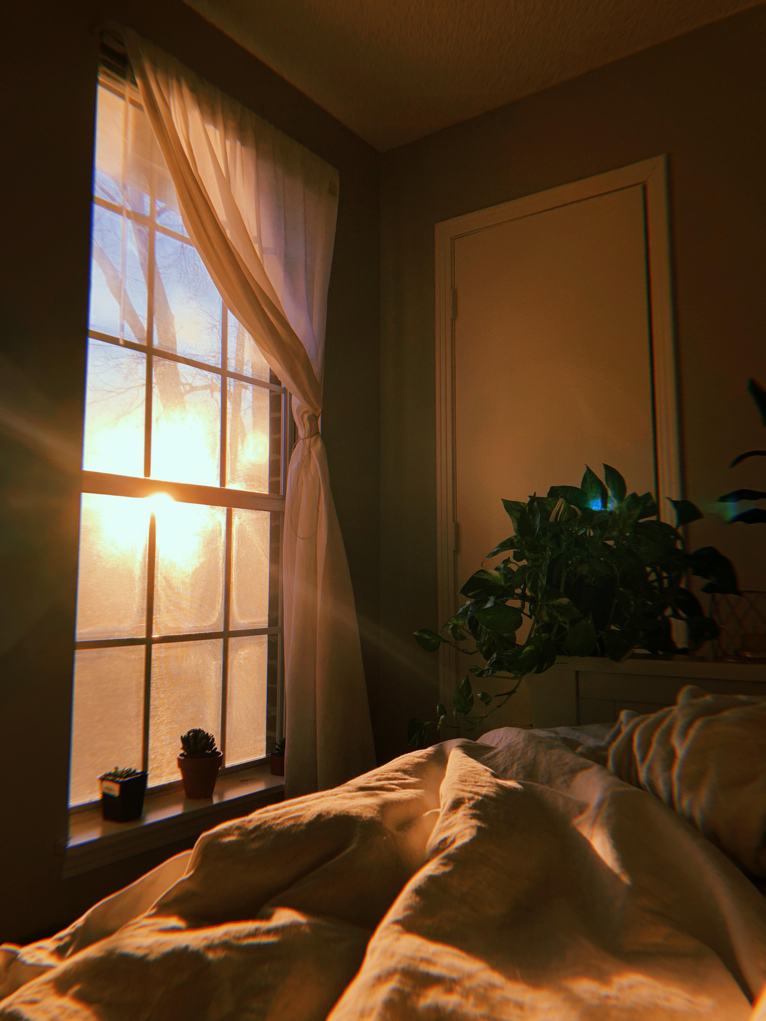 Sunrise in my east facing bedroom r/CozyPlaces