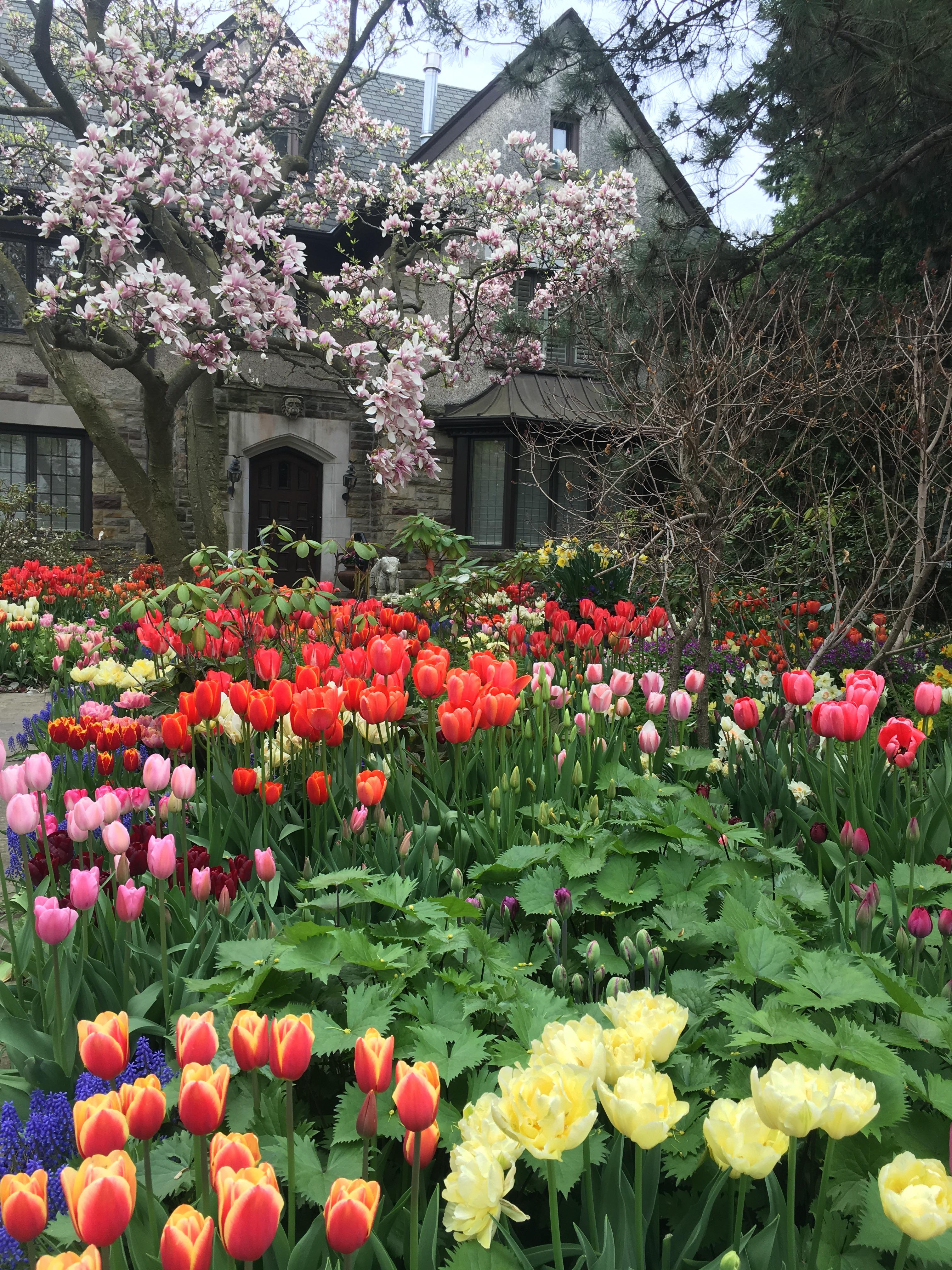 Impressive garden in Forest Hill r/toronto