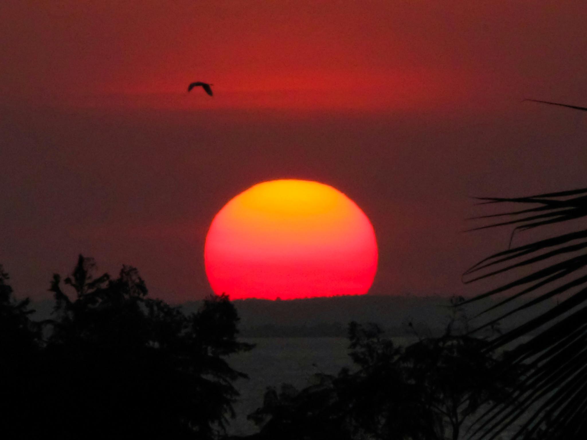 Beautiful sunset in Kisumu, Kenya [2048x1536]. r/sunset