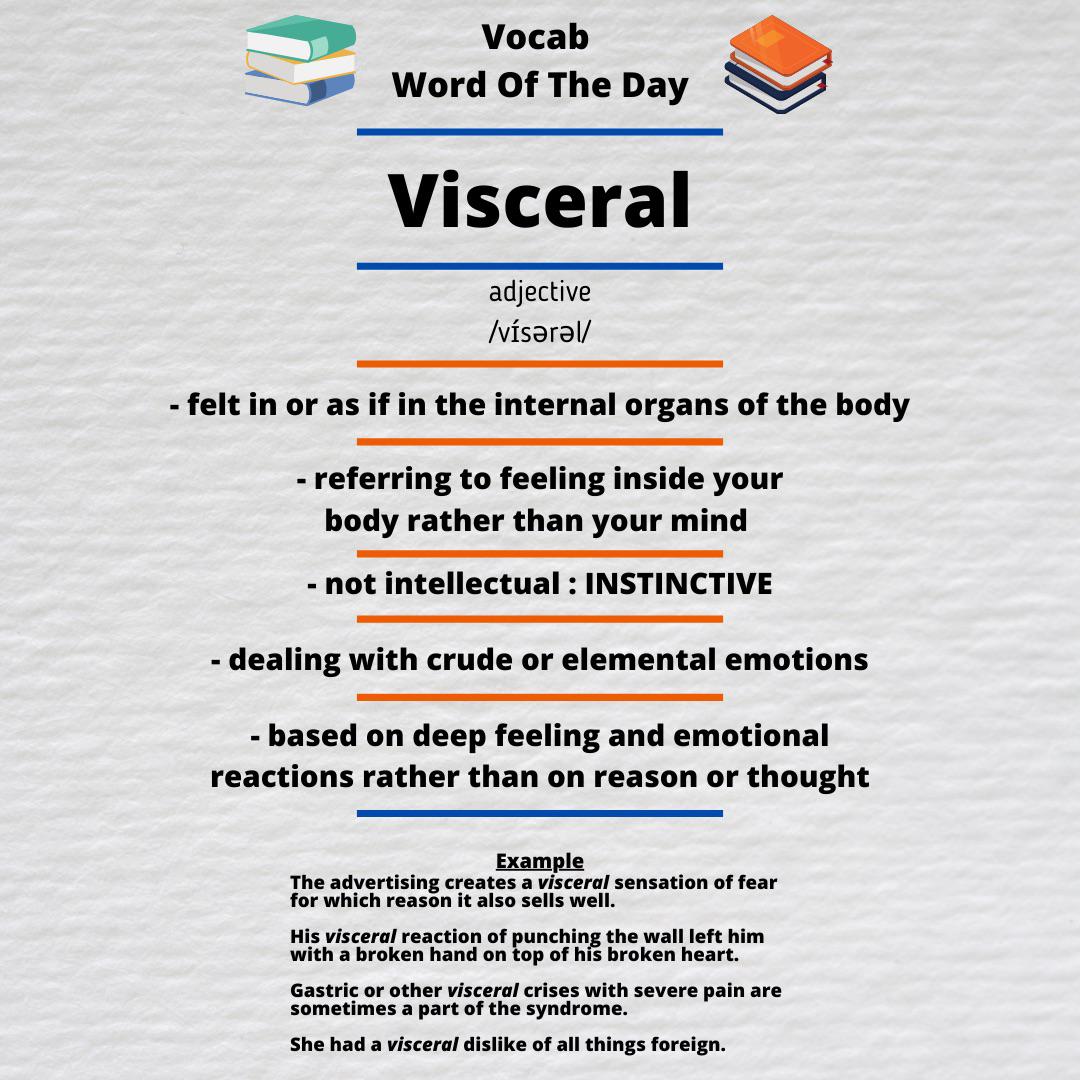 Visceral Meaning Anatomy Visceral Referring To