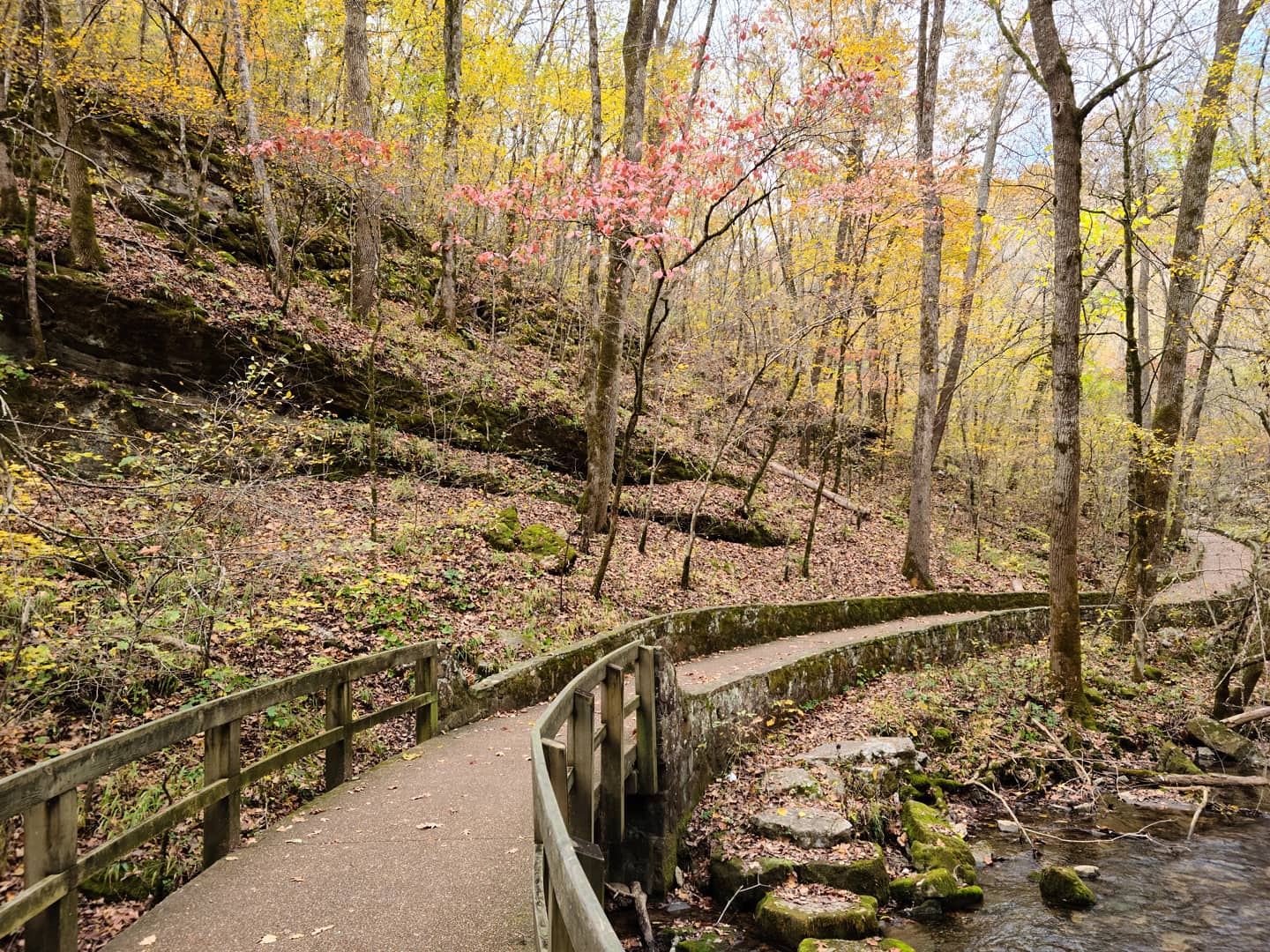 Blanchard Springs trail in Ozark National Forest, November r/pics