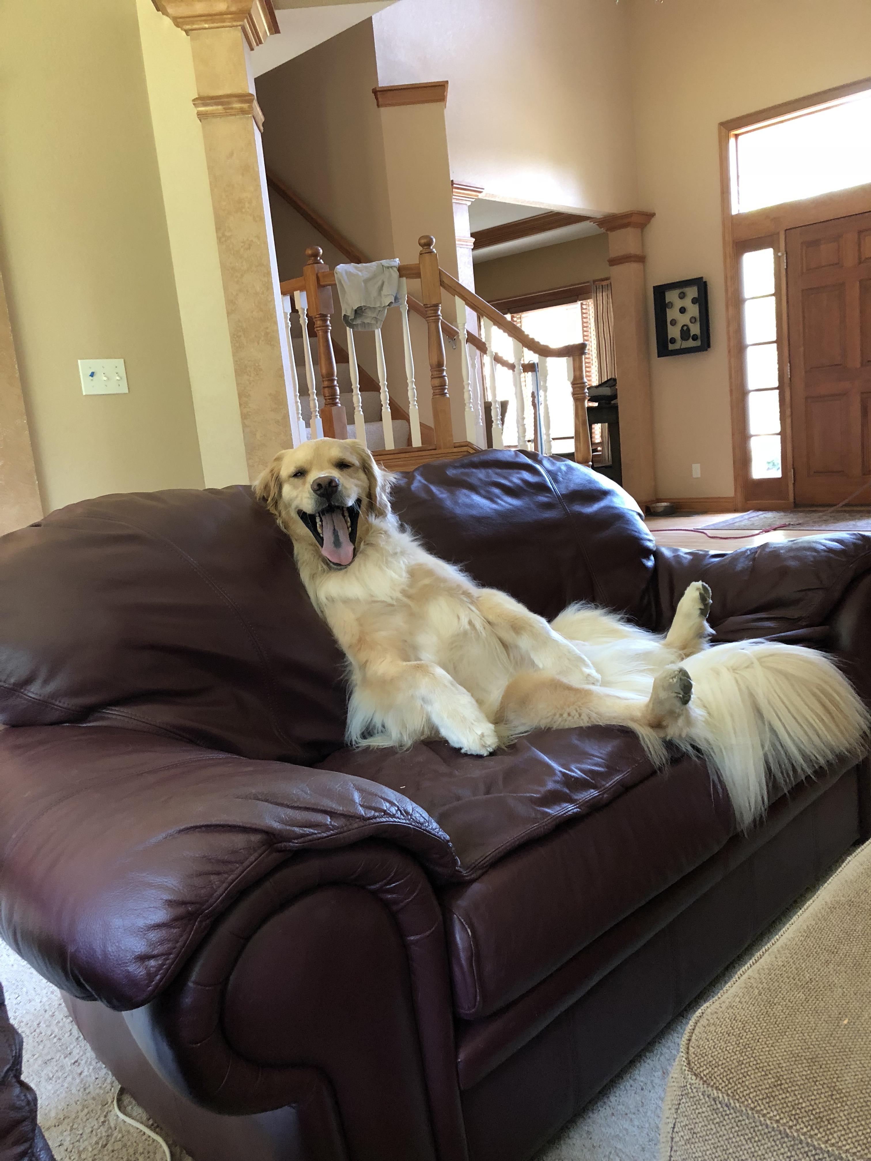 Looked over and saw this creature staring at me r/aww