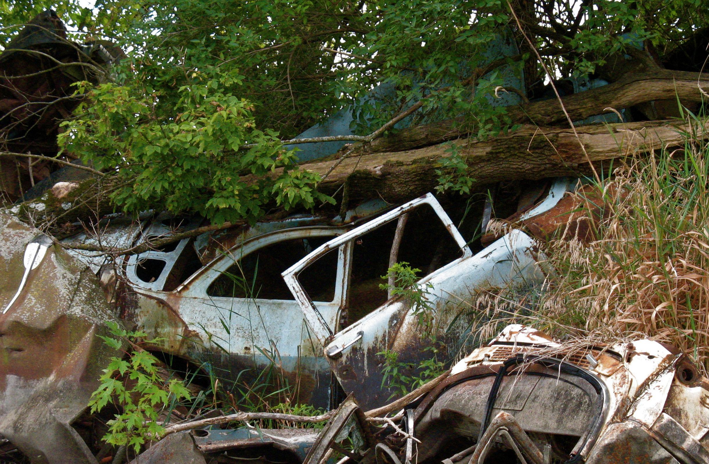 A few of the many junk cars used to fortify the banks of the Iowa river