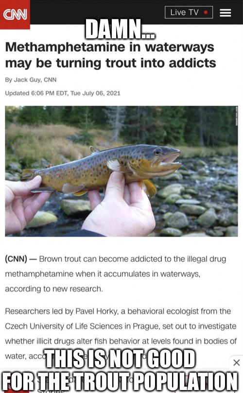 Save the Trout r/okbuddyretard