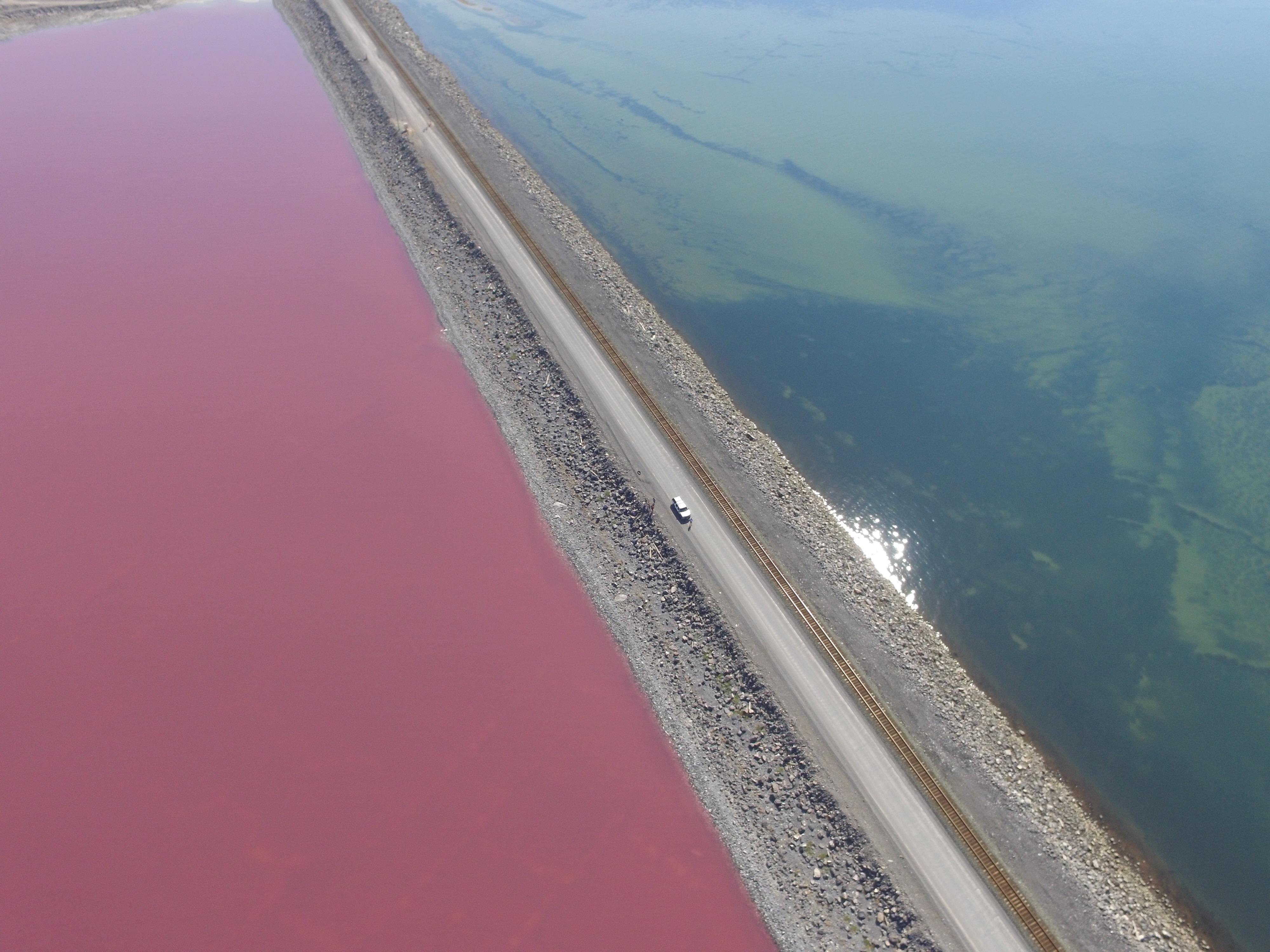 Pink Great Salt Lake r/SaltLakeCity