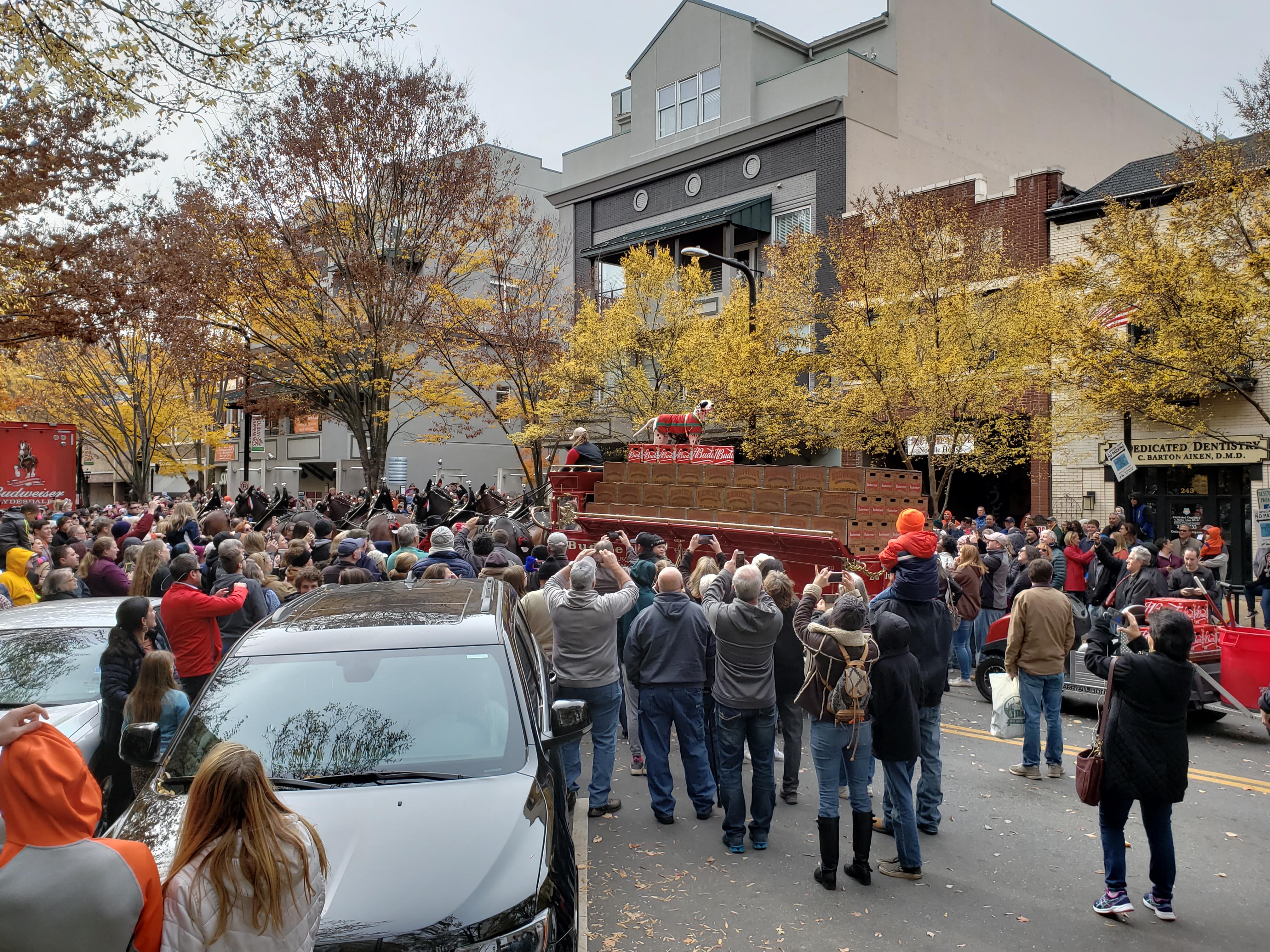The 8 Budweiser Clydesdales in Noma Square this afternoon r/greenville