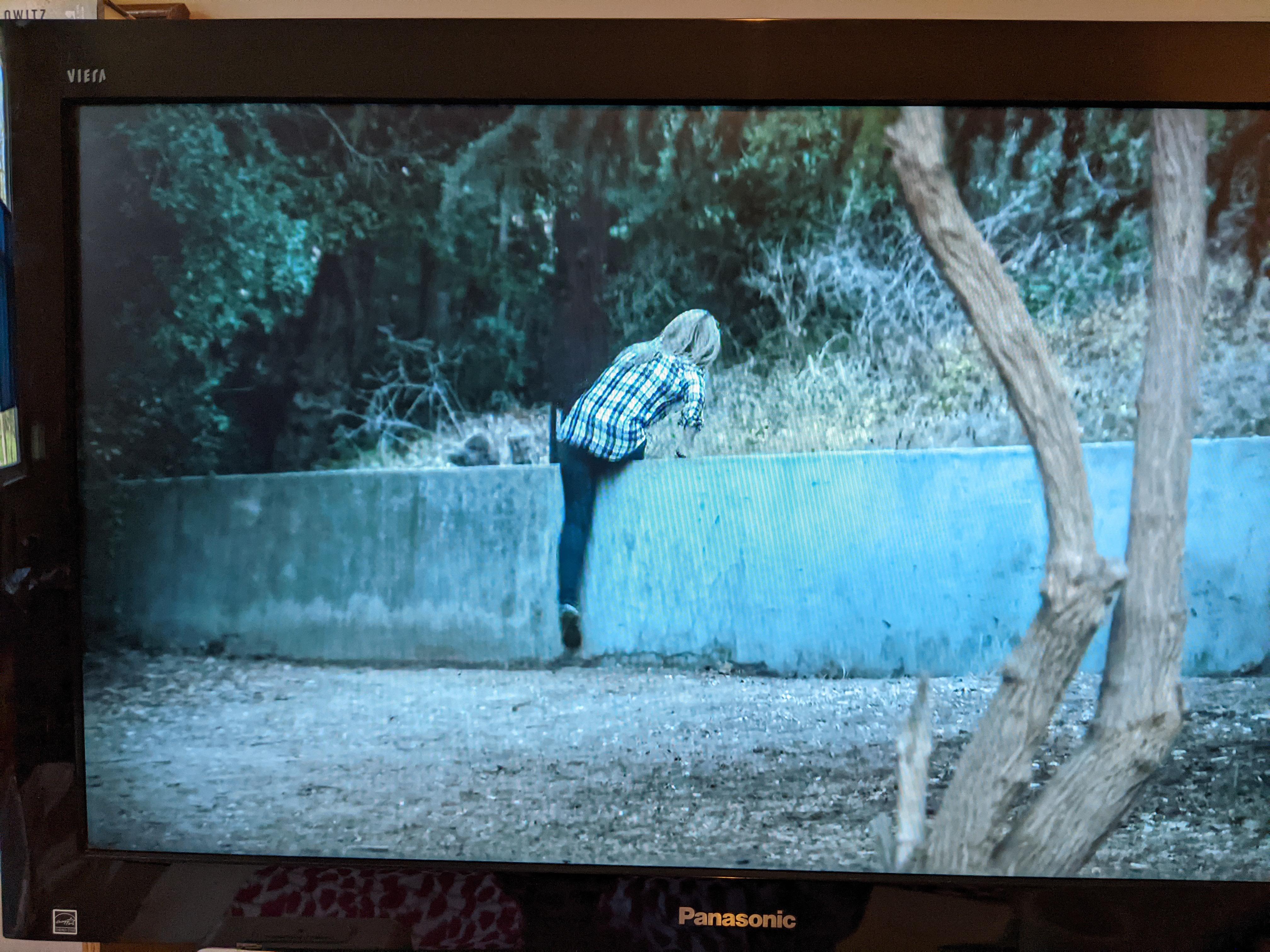 Kim Richards jumping over a concrete barrier, apparently to stroll