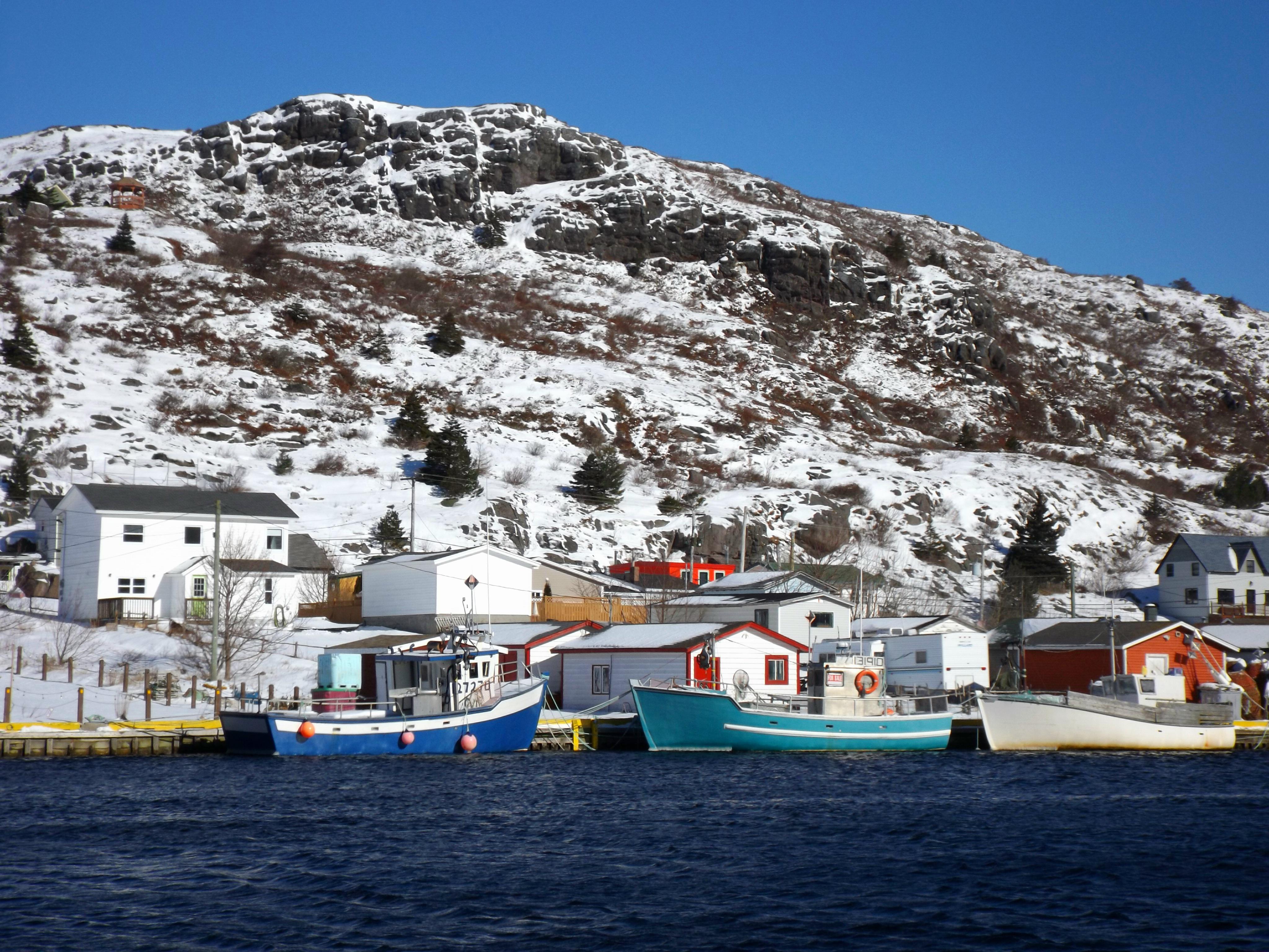 Petty Harbour Ghost Gear at Amos Millard blog